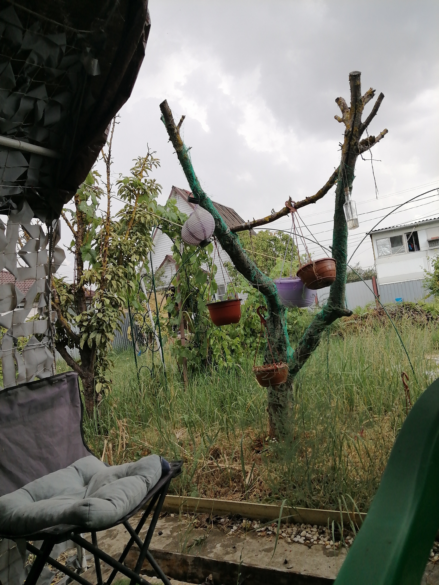 The image depicts a backyard scene under an overcast sky, likely in Rostov-on-Don, Russia, given the architecture of the houses visible. In the foreground, to the left, is a dark grey folding chair with a light grey cushioned seat. To the right, a blurred green object partially obscures the view.
Dominating the mid-ground is a bare, branchy tree trunk, which appears to be a dead or severely pruned tree, wrapped in what looks like green netting. Several hanging planters are attached to its branches: three are brown terracotta pots, and one is a purple pot. A glass bottle hangs from one of the upper branches.
Behind the tree, there is a lush, overgrown area with tall green grass and other vegetation. Several houses are visible in the background. One is a light-colored house with a peaked roof, and another appears to be a more modern, possibly prefabricated structure with windows. A dark, textured tarp or canopy stretches across the top left of the image, attached to a pole. The ground in the foreground is a concrete or paved surface with some scattered small white pebbles.