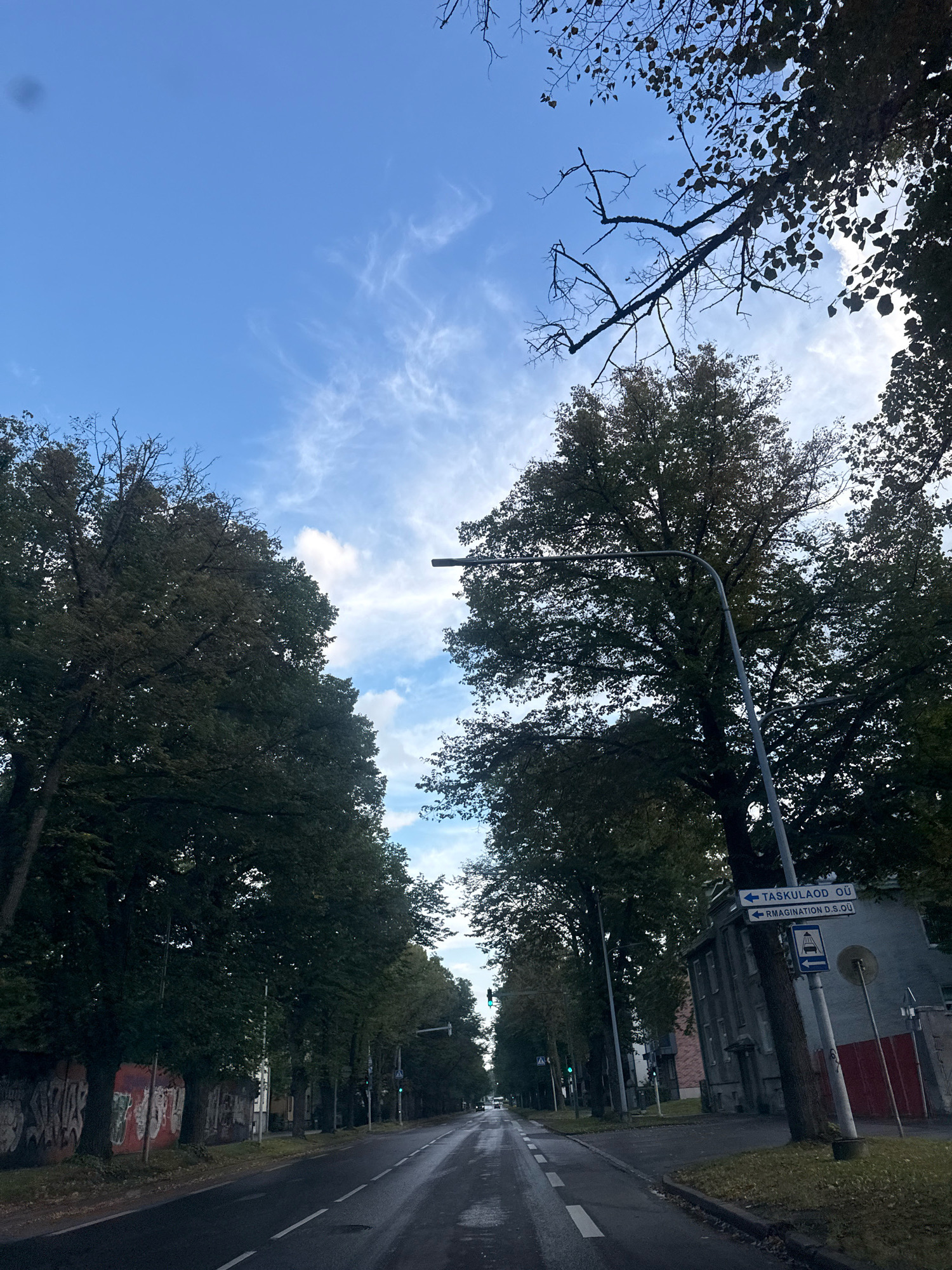 The image depicts a street scene in Tallinn, Estonia. On the left side of the road, a graffiti-covered wall runs alongside a row of large trees. The road is wet, suggesting recent rain, and a white dashed line marks the lanes. In the distance, traffic lights are visible, with one showing green. On the right side of the road, a building with a red fence is situated. A street lamp with two signs attached is prominent in the foreground. One sign has blue text in what appears to be Estonian, pointing left, with "TASKULAOD OÜ" and "RMAGINATION D.S.OU" visible. Below this is a blue and white sign indicating a bus stop. The sky is clear blue with some wispy white clouds, and the branches of trees frame the upper portion of the image.
