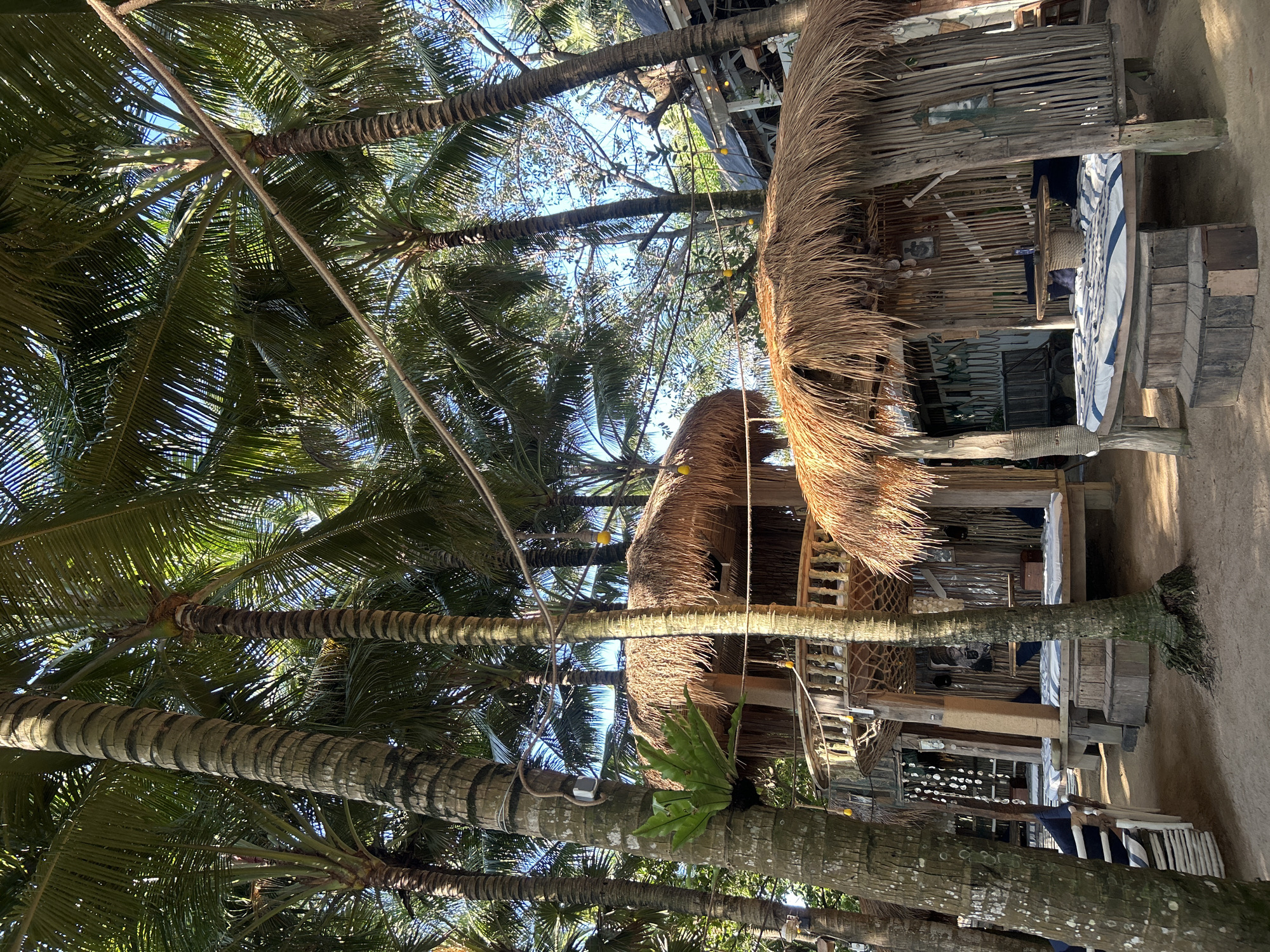 This image depicts an outdoor seating area in a tropical location, likely a beach resort or cafe, in North Kuta, Indonesia. The scene is dominated by lush palm trees with dense fronds casting dappled sunlight on the ground. Several rustic structures with thatched roofs and bamboo walls are visible, designed as open-air huts or cabanas. These structures feature raised wooden platforms with cushioned seating, some arranged around low tables. One of the huts has a unique multi-tiered design, suggesting it might be a more elaborate seating or lounging area. Hanging decorative elements, such as shells and small yellow lights, add to the ambiance. The ground appears to be sandy, consistent with a beachside setting. The overall impression is one of a relaxed, tropical environment designed for outdoor leisure.