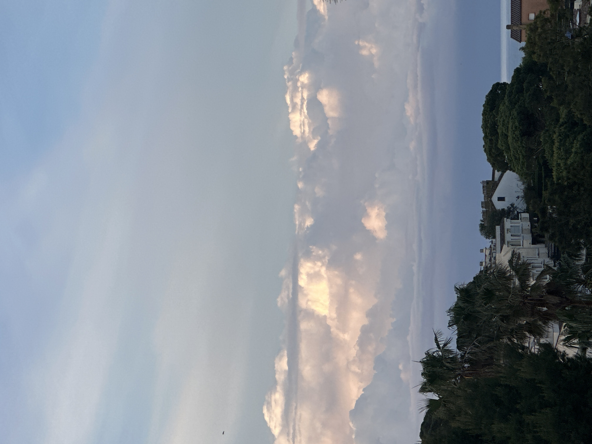 The image presents an upward-looking view in Sant Feliu de Guíxols, Spain. The scene is oriented vertically, with the sky dominating the left half and the edge of a coastal urban area visible on the right. Cumulus clouds are prominent, illuminated by the sun on the center portion. The right side reveals buildings with white facades, and green foliage of palm trees. The lighting suggests either early morning or late afternoon. The sky transitions from light blue on the left to a darker shade towards the right. There are no people visible in the frame.