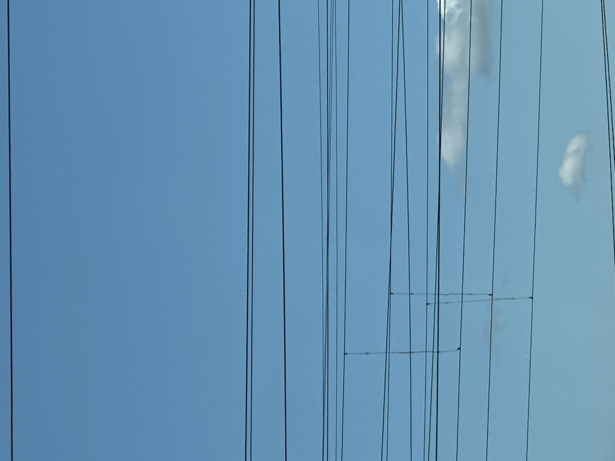 The image shows a bright blue sky filled with a series of black horizontal power lines. Some of these lines appear to have vertical attachments. There are a few small, wispy clouds visible in the lower portion of the frame. The scene is captured from a perspective looking upwards. The location is Plesetsk, Russia.