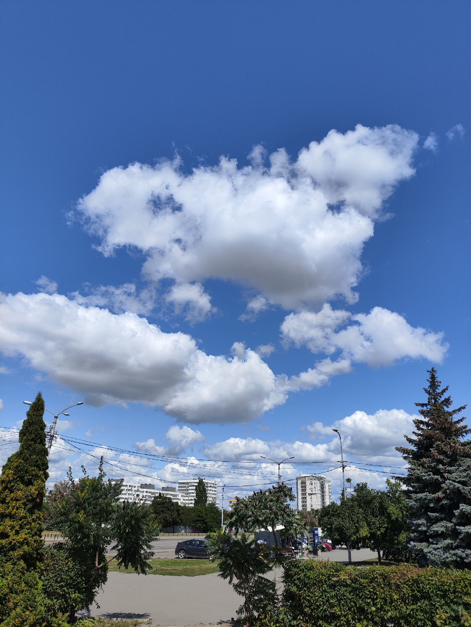 The image depicts a daytime scene in the city of Kharkiv, Ukraine, characterized by a bright blue sky dotted with fluffy white cumulus clouds. In the foreground, lush green trees and bushes line a sidewalk and a road. Several apartment buildings, appearing to be mid-rise, are visible in the background, along with streetlights and overhead power lines. A dark-colored car is parked on the side of the road. The overall atmosphere suggests a clear and pleasant day in an urban setting.
