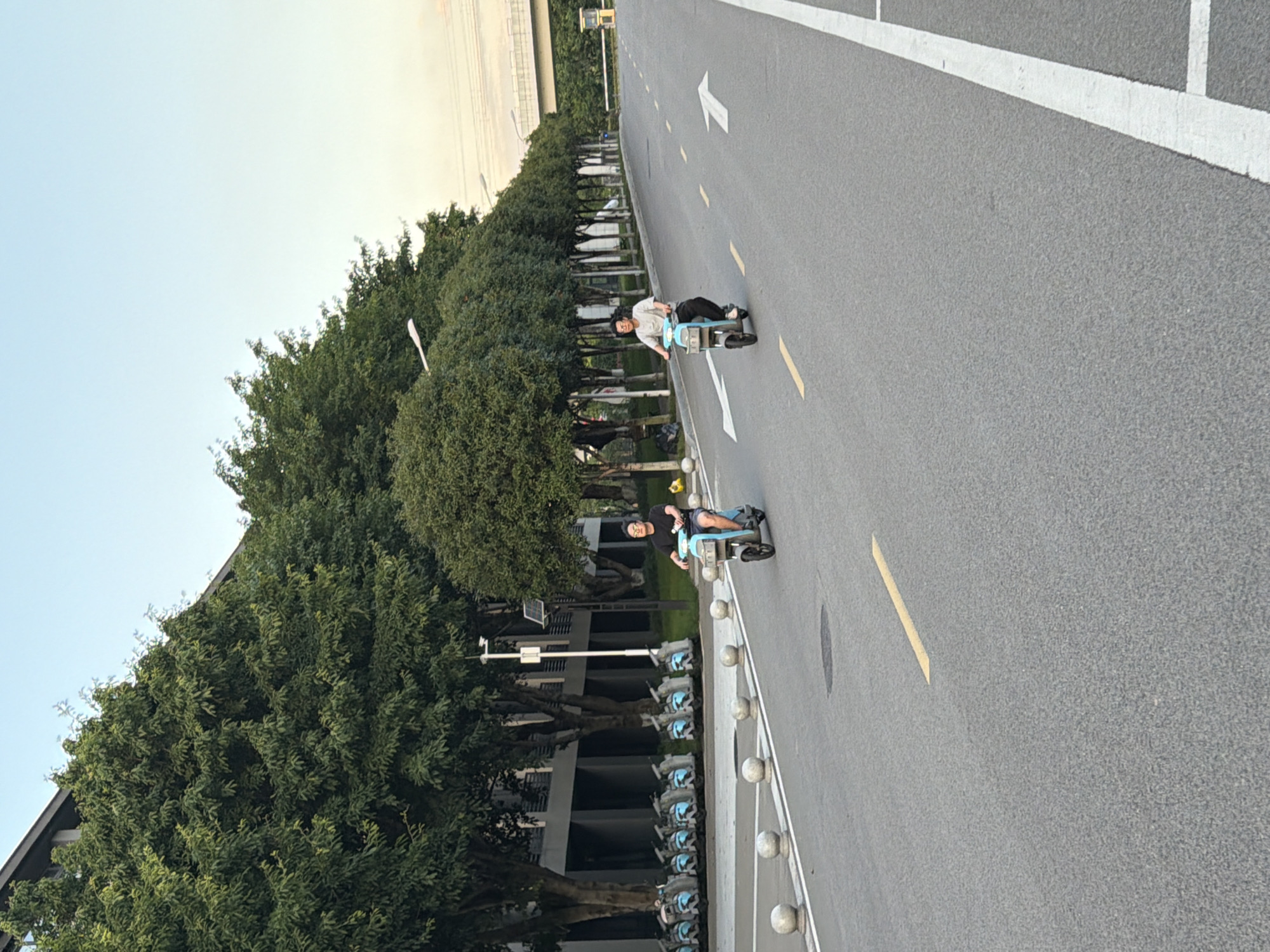 Two individuals are riding electric scooters on a paved road with lane markings. The person on the left is wearing a black t-shirt and shorts and is riding a blue and white scooter. The person on the right is wearing a light-colored t-shirt and dark pants and is riding a similar blue and white scooter. They are positioned in parallel lanes, moving away from the viewer.
The road is flanked by a row of mature green trees on the left, behind which is a modern building with a dark facade. In the background, on the left side of the image, a row of parked blue and white electric scooters is visible. On the right side of the road, a traffic lane with white and yellow markings continues into the distance, leading towards an elevated roadway structure. The sky is clear and pale blue, suggesting it is late afternoon or early evening. The scene appears to be a street in a contemporary urban or suburban environment, possibly within the city of Jiangjin, China, characterized by organized infrastructure and abundant greenery.