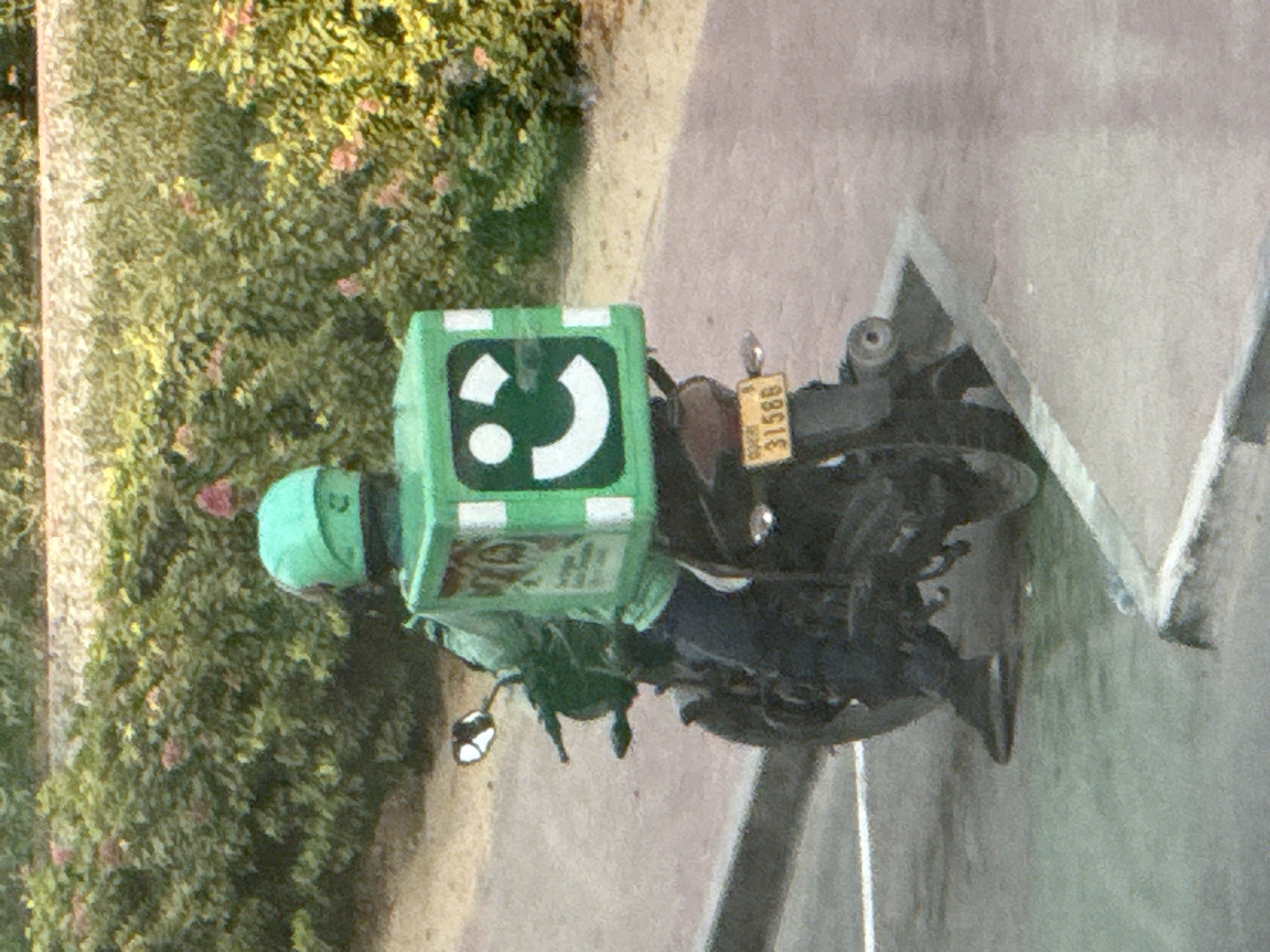 A person wearing a bright green helmet and a green delivery jacket is seated on a black motorcycle. The motorcycle has a large, bright green delivery box attached to the rear, which features a white smiley face logo. The delivery box also has white vertical stripes on its sides. The motorcycle has a yellow license plate with the number "31586" visible. The person is facing away from the camera. The motorcycle is parked on a paved surface, possibly a road or sidewalk, with a white line marking the edge. In the background, there is dense green foliage, likely a hedge or bushes, with some pink flowers. The environment appears to be outdoors in a well-maintained area, consistent with a city environment like Dubai, United Arab Emirates.