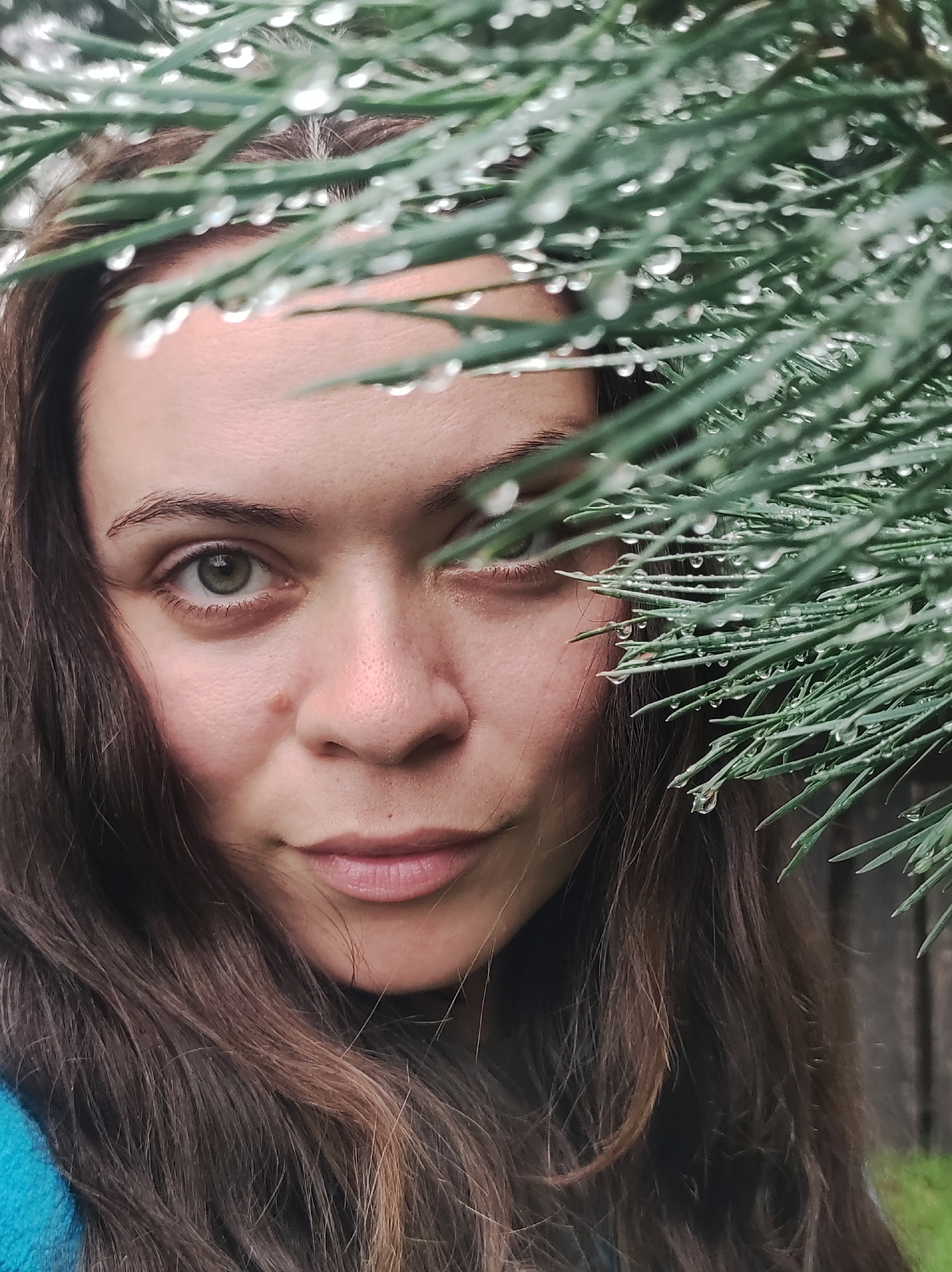 This is a close-up, outdoor, eye-level portrait of a woman partially obscured by pine needles with water droplets. She has medium-toned skin, brown hair, and green eyes. Her face is turned slightly to the left, and she is looking directly at the camera. The pine needles are in the foreground, with water droplets visible on them. The background is blurred and appears to be a wooden fence and some greenery. The lighting suggests it is a natural, overcast day. The woman is wearing a blue garment. The scene is likely in a natural setting, possibly a park or a backyard.