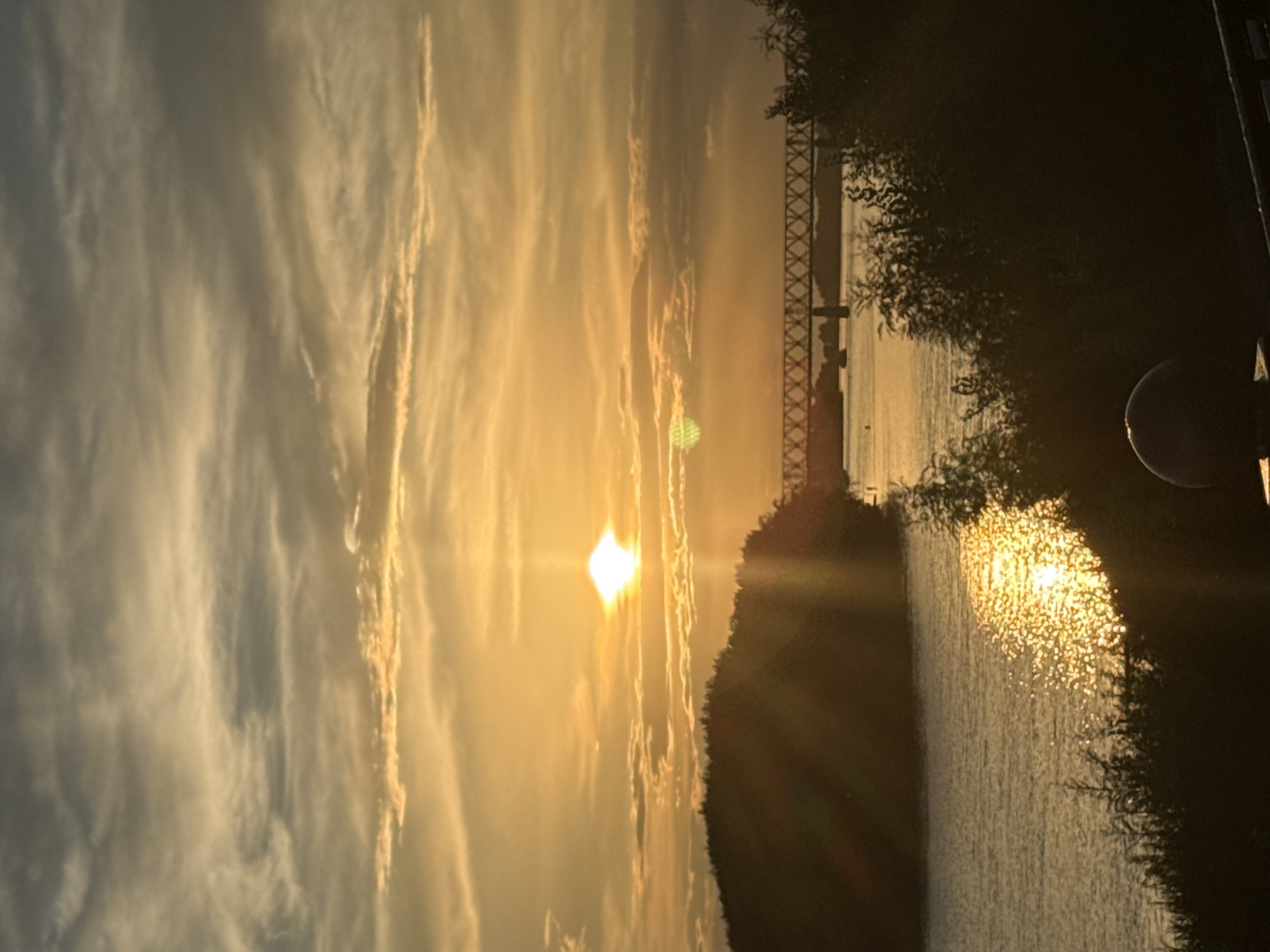 The image depicts a sunset over the Irtysh River in Pavlodar, Kazakhstan. A silhouetted island with trees is on the left, with a railway bridge spanning the river in the background. The sun, a bright orb with a lens flare, is setting behind wispy clouds, casting a golden light on the water. Dark foliage frames the foreground, with a dark spherical object visible at the bottom right.
