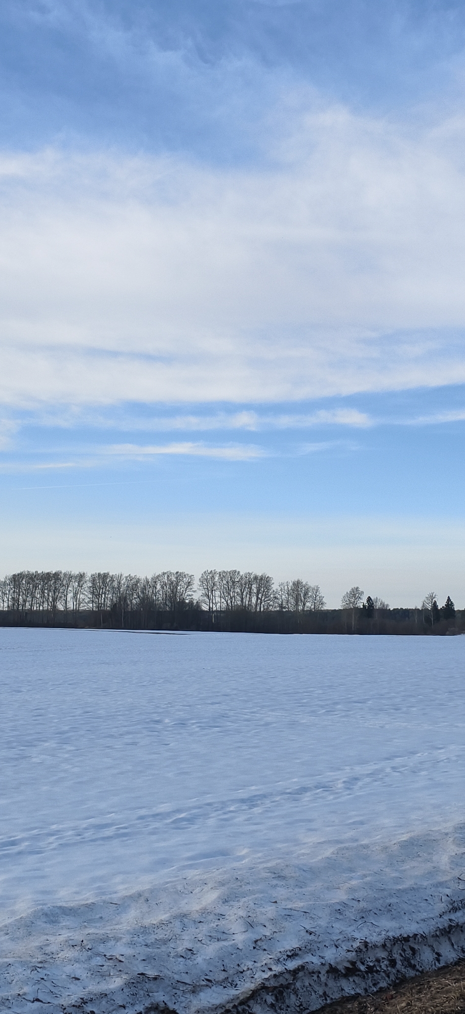 The image shows a snow-covered field in Фоки, Russia. A line of trees is visible on the horizon, and the sky is blue with white clouds. The ground is covered in snow, and there are some areas of bare earth visible in the foreground. There are no people or animals visible in the image.