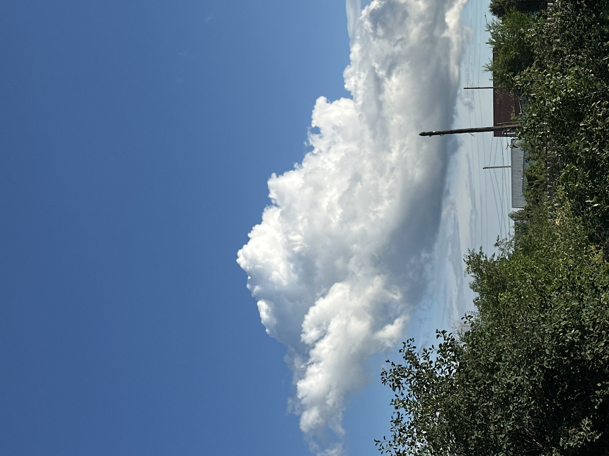 This media file captures a bright, sunny day with a vast blue sky dominating the frame. A prominent, fluffy white cumulus cloud formation drifts across the sky, adding a dramatic element to the scene. To the right, dense green foliage, likely trees or bushes, frames the lower portion of the image. In the background, hints of human infrastructure are visible, including a small building with a reddish-brown roof and what appear to be utility poles with power lines stretching across the horizon. The overall impression is one of a serene, rural landscape bathed in the warm light of a clear day. The orientation of the image suggests it may have been taken vertically. The location is identified as Tobyl, Kazakhstan.