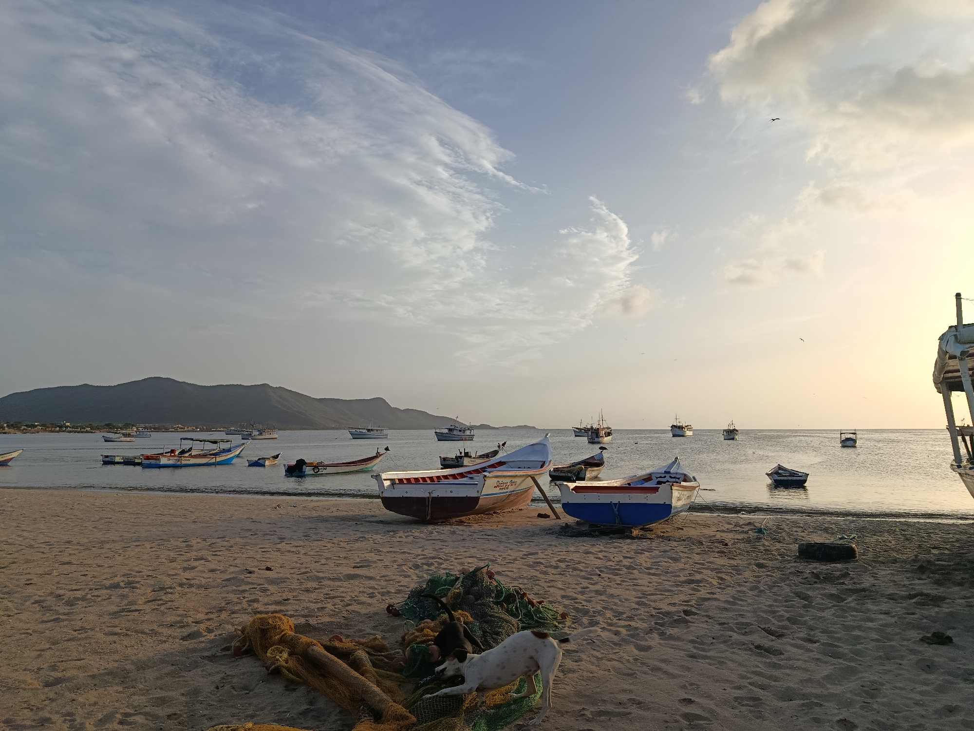 The image depicts a beach scene in Juan Griego, Venezuela, likely at sunset due to the warm light illuminating the sky and the calm water. Several fishing boats are anchored in the shallow sea, with some pulled up onto the sandy shore. Two boats are prominently featured in the foreground on the beach. One is white with red trim, and the other is white and blue. Fishing nets and ropes are scattered on the sand in the foreground. A small white dog with brown spots is interacting with the fishing nets. In the background, a chain of mountains forms the coastline, and more boats are visible further out at sea. The sky is partly cloudy with soft, diffused light.