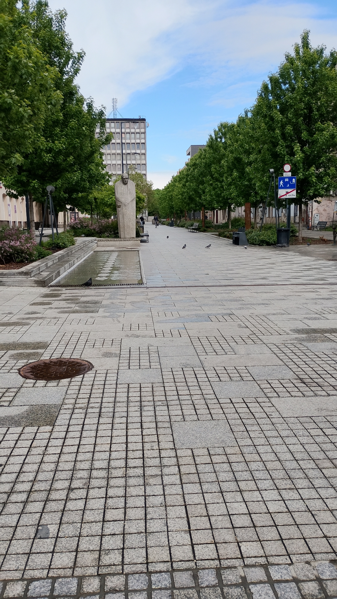 The image shows a wide, paved pedestrian walkway in Łódź, Poland, framed by rows of trees on either side. A light-colored stone statue stands to the left of the walkway, adjacent to a narrow, rectangular water feature. The walkway is constructed from gray, square tiles. In the foreground, a circular metal manhole cover is visible. Further down the walkway, people are walking in the distance. Benches and trash receptacles line the sides of the walkway. A sign is on the right side of the walkway. A tall, light-colored building is visible in the background. Several pigeons are present on the walkway. The scene is set on an overcast day.