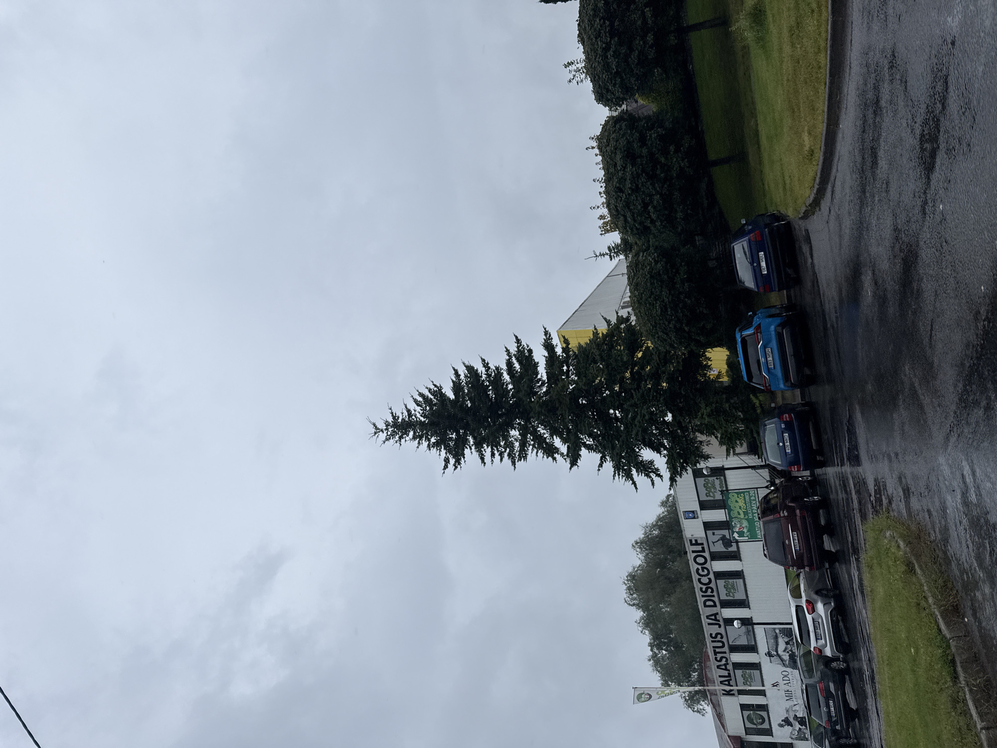In a moderate-height establishing shot, a cloudy, overcast sky dominates the upper portion of the frame. Beneath the sky, a tall, dark green pine tree stands prominently in the center-right, its branches reaching upwards. A building with a white facade and a yellow section on its left side is visible in the middle ground. The building has text on its front, which appears to read "KALASTUS JA DISCGOLF" and displays various graphics of fishing and disc golf-related imagery. Several cars are parked in a lot in front of the building on a wet, asphalt surface, indicating recent or ongoing rain. The cars appear to be a dark red SUV, a silver hatchback, a dark blue sedan, and a bright blue hatchback. The foreground consists of a paved area with puddles and a grassy embankment on the right. The overall scene suggests an outdoor commercial setting on a gloomy day. The building's signage indicates it is likely a fishing and disc golf store. Based on the text "Tallinn, Estonia" being present in the metadata, the scene is located in Tallinn, Estonia.