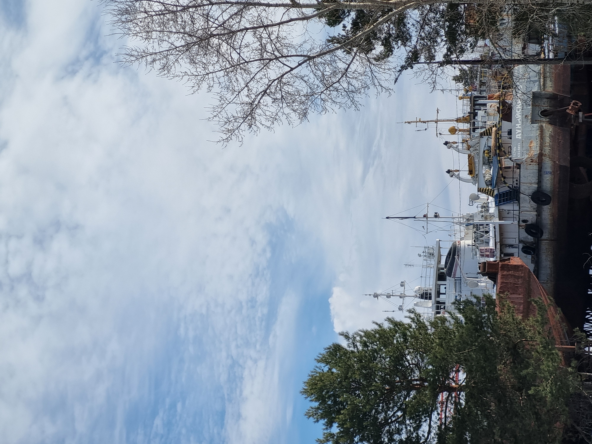 The image captures a port or shipyard scene in Chaikovsky, Russia, under a partially cloudy sky. The sky is light blue with scattered white cumulus and stratocumulus clouds. In the foreground-midground, multiple vessels are visible. On the left, a large, dark green evergreen tree partially obscures a vessel with a prominent rust-colored hull and a white superstructure. To its right, a light grey and white vessel, identified by the stenciled name "ДУНАЙСКИЙ" (DUNAYSKIY), its homeport "ПЕРМЬ" (PERM), and registration "К-01-0852" on its stern, occupies the central portion of the frame. This vessel features yellow cranes and structural elements, black rubber tires serving as fenders along its hull, and shows signs of significant rust and wear. Additional vessel superstructures, predominantly white with masts and communication equipment, are visible in the background. On the right side, bare deciduous trees with fine, intricate branch patterns ascend into the frame, partially obscuring a utility pole. No individuals are present within the scene. The vessels appear to be docked or in drydock.