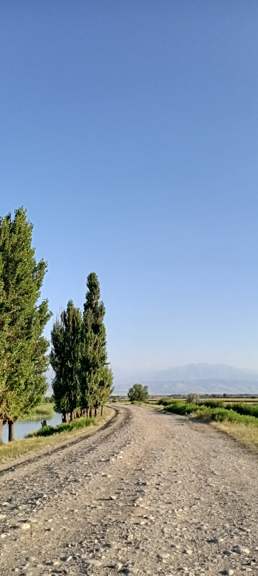 A rural dirt road curves through a flat, grassy landscape under a clear blue sky. The road is textured with pebbles and small stones, and lined with tall, slender trees on the left side. Adjacent to the trees is a calm body of water. In the distance, faint mountains are visible. One person is seated by the water on the left side of the road. The scene appears to be in the vicinity of Aral, Kyrgyzstan, given the natural, open environment.