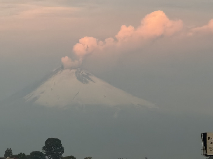 The image displays a distant view of the Popocatépetl volcano, observed from San Bernardino Tlaxcalancingo, Mexico. The snow-capped stratovolcano occupies the central and upper portions of the frame, actively emitting a dense, grayish-white plume of ash and gas from its crater. This plume ascends vertically before diffusing eastward across the upper sky. The upper clouds and the volcanic plume are illuminated by a soft, pinkish-orange light, consistent with sunrise or sunset, while the lower atmosphere appears a muted gray due to haze or cloud cover. In the foreground, at the bottom left, the dark green crowns of several trees are visible. To the bottom right, a partial, dark-framed billboard structure is present, displaying fragmented white text. No individuals or specific interactions between subjects are depicted within the scene.