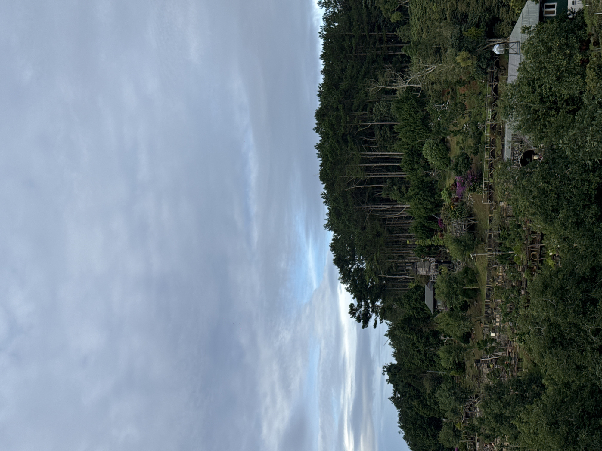 The image shows a forested area on a cloudy day. A dense line of trees runs vertically down the center, separating a large expanse of sky on the left from a hillside on the right. The hillside appears to contain a structure with a green roof and a window. There is a terraced garden with various trees, plants, and other structures. No people are visible. The location is unknown, including whether it is in Phát Chi, Vietnam.