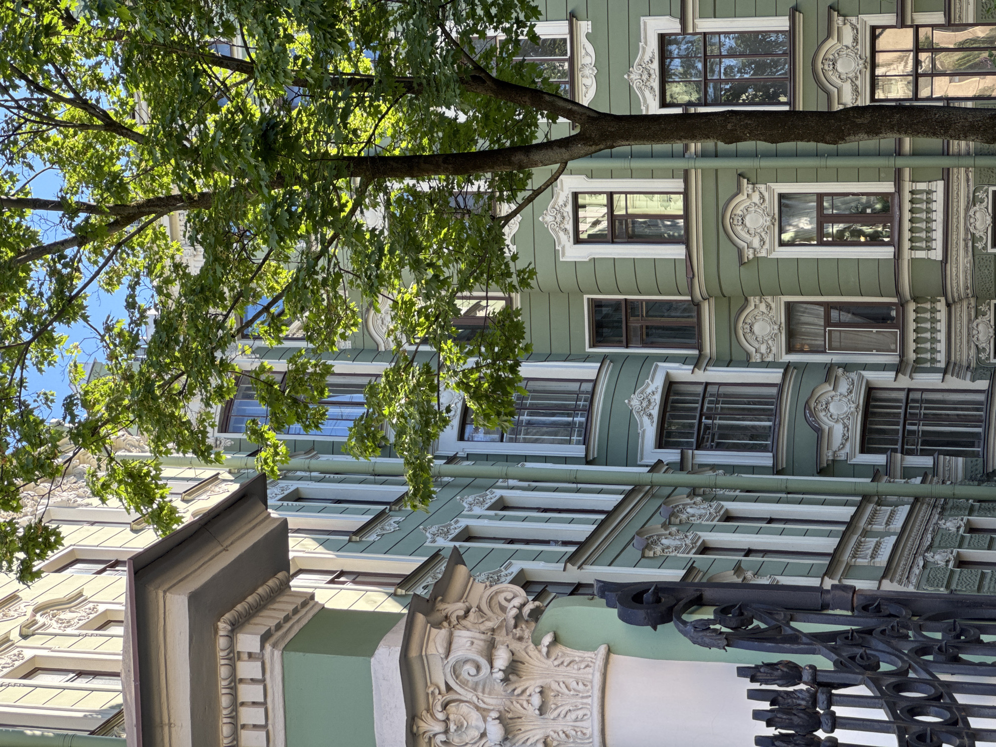 The image displays a detailed view of an ornate building facade, characteristic of Saint Petersburg, Russia, partially obscured by a vibrant green deciduous tree under clear daylight.
The multi-story building exhibits a muted sage green exterior contrasted with extensive cream-white architectural embellishments. These include ornate window surrounds featuring intricate scrollwork and cartouches, decorative cornices, and a prominent fluted column capital on the leftmost structure. Windows are predominantly rectangular with dark brown frames, reflecting the clear blue sky and surrounding foliage. A light green drainpipe descends vertically on the facade's right side. A section of a white, decorative balustrade is visible below a window on the lower right.
A mature tree with a textured brown trunk and dense, bright green leaves stands prominently in the midground, its canopy extending across the right half of the image and partially over the building, casting dappled light. Strong sunlight illuminates the scene from the upper right, creating distinct shadows and highlights on both the building and the foliage.
In the lower-left foreground, a segment of a black, wrought-iron fence or gate with decorative finials and circular patterns is visible. No individuals are present in the scene. The overall impression is that of a sunlit, historical urban setting during spring or summer.