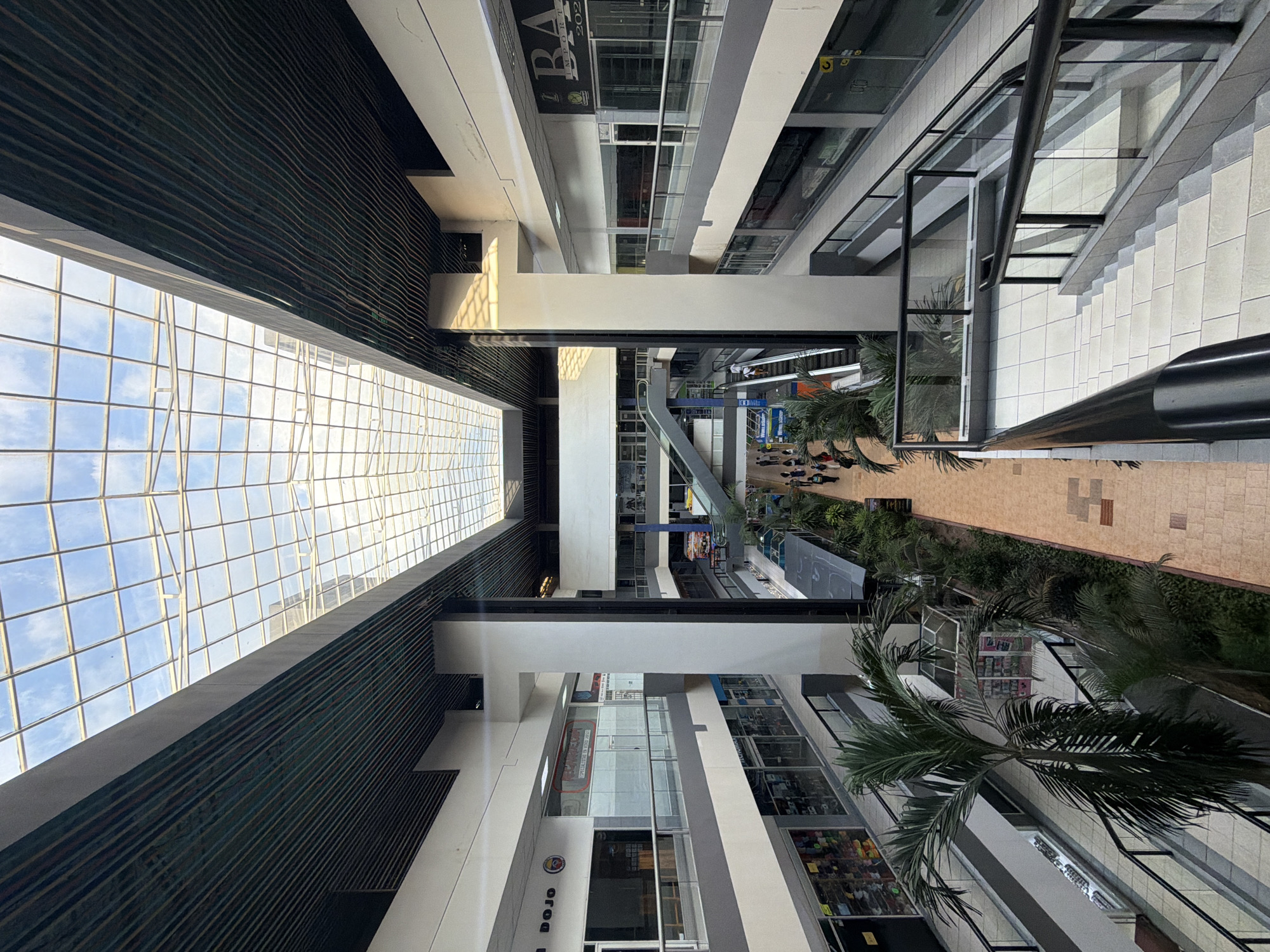 The image depicts an indoor space, likely a shopping mall or commercial complex, in Ciudad Guayana, Venezuela. The viewpoint is elevated, looking down into the open atrium. Overhead, a large grid-patterned glass ceiling allows natural light to filter into the space. The architecture includes multiple levels with various retail establishments and walkways. People can be seen walking on the ground level, near an escalator and among some small trees and vegetation. The buildings are predominantly white and gray with glass facades. Signs and storefronts are visible but not clearly legible. A palm tree is prominent in the foreground on the right side.