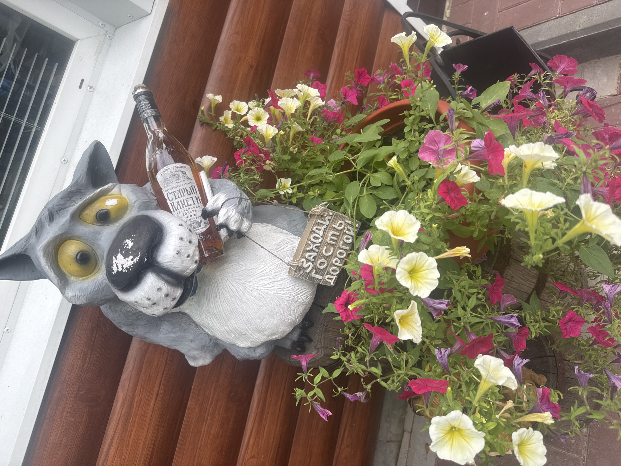 This is a close-up, eye-level photograph of a garden statue of a cartoon wolf holding a bottle of liquor. The statue is positioned in front of a wooden wall, likely part of a building's exterior. The wolf statue is grey with yellow eyes and a black nose. It is holding a glass bottle, the label of which is partially visible and appears to be in Cyrillic script.
The wolf is surrounded by a vibrant display of blooming petunias in various colors, including pink, white, and yellow. The flowers are planted in a terracotta pot. To the left of the wolf, a small wooden sign is hanging, also with Cyrillic writing.
The overall impression is one of a whimsical, decorative garden element, likely placed outside a bar, restaurant, or a private residence in Surgut, Russia. The wooden wall suggests a rustic or traditional architectural style. The lighting is natural, indicating it was taken outdoors during the day. There are no people visible in the image.