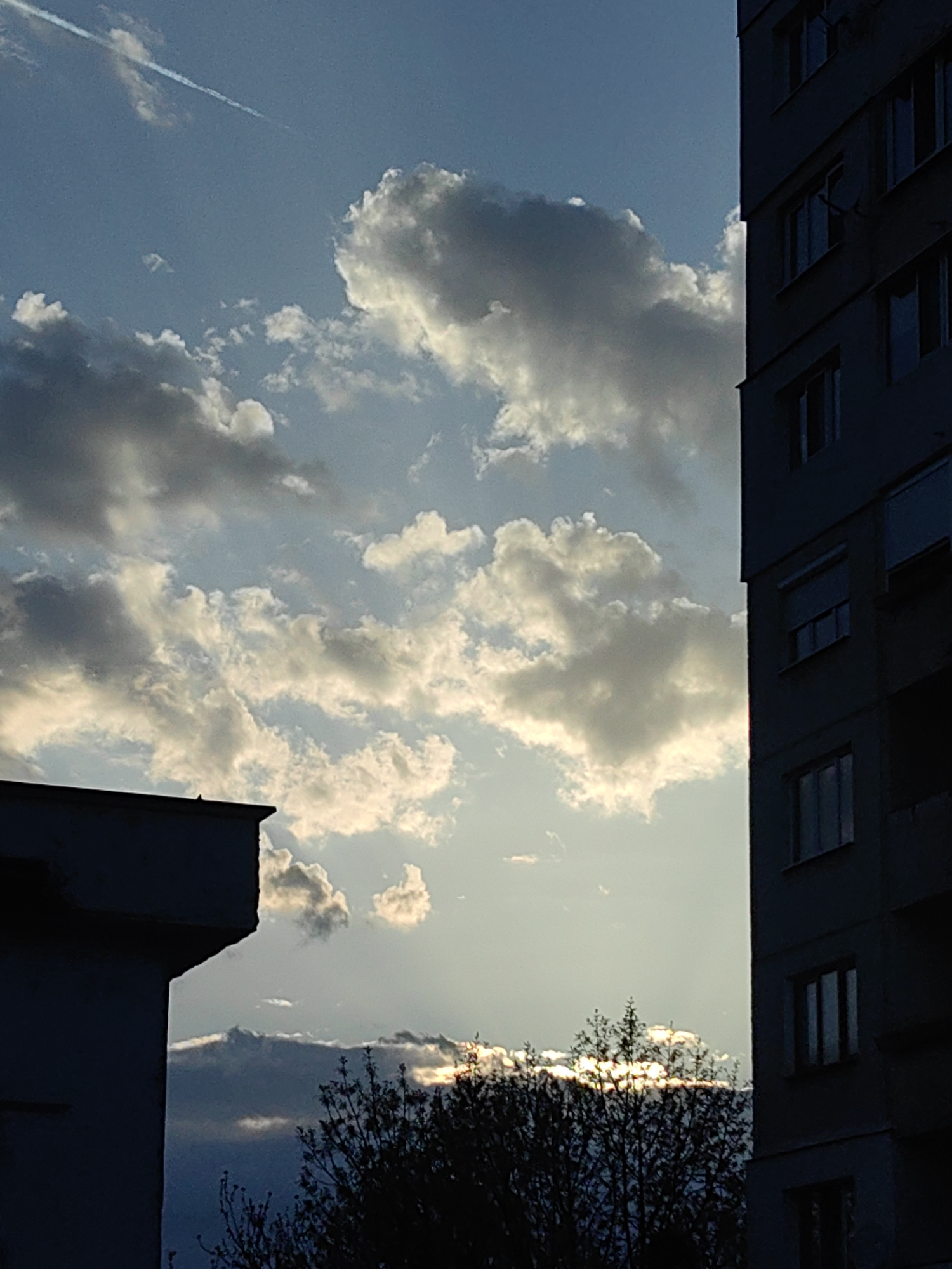 The image shows a view in Sofia, Bulgaria, framed by two buildings. On the right is a multi-story apartment building with multiple visible windows. On the left, the corner of another building is visible. In the center, the sky is filled with clouds, illuminated by the sun. A tree is silhouetted at the bottom of the frame, partially obscuring the sunset. A contrail cuts across the upper left of the sky. The time appears to be dusk or dawn.