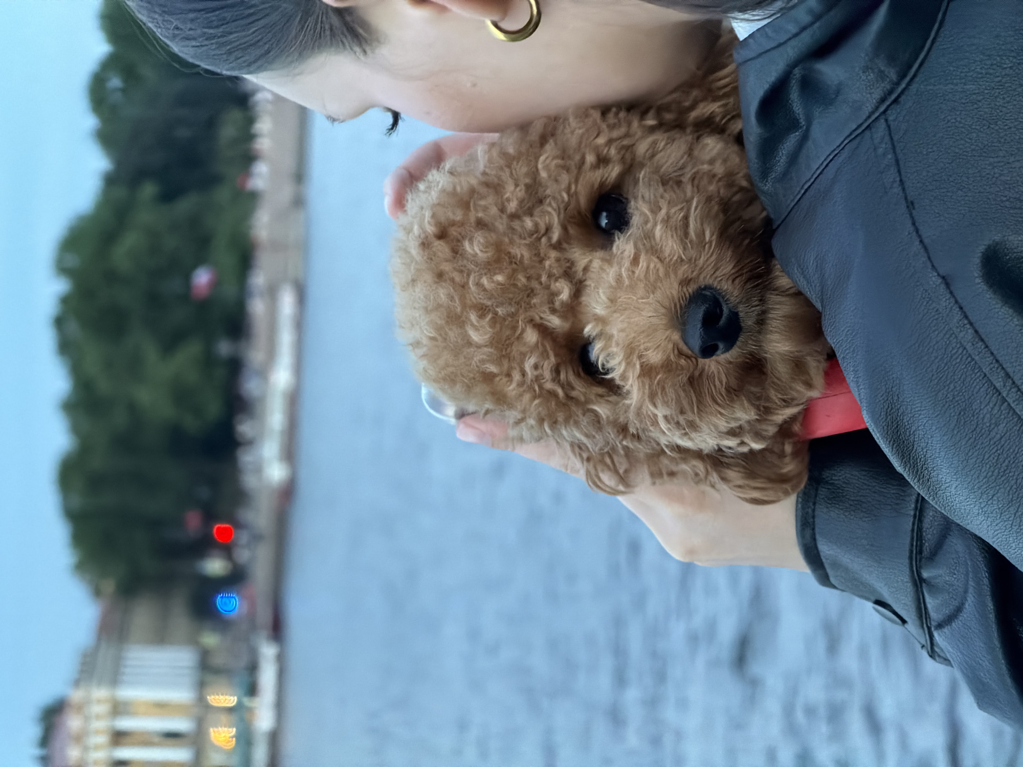 A close-up shot shows a person holding a brown poodle dog up to their face. The person is wearing a black leather jacket and a gold hoop earring. The dog is looking at the camera with dark eyes. In the background, there is a body of water, and across the water, there is a building with columns and trees. The sky is a muted blue. The image appears to have been taken in Saint Petersburg, Russia, near a waterfront.
