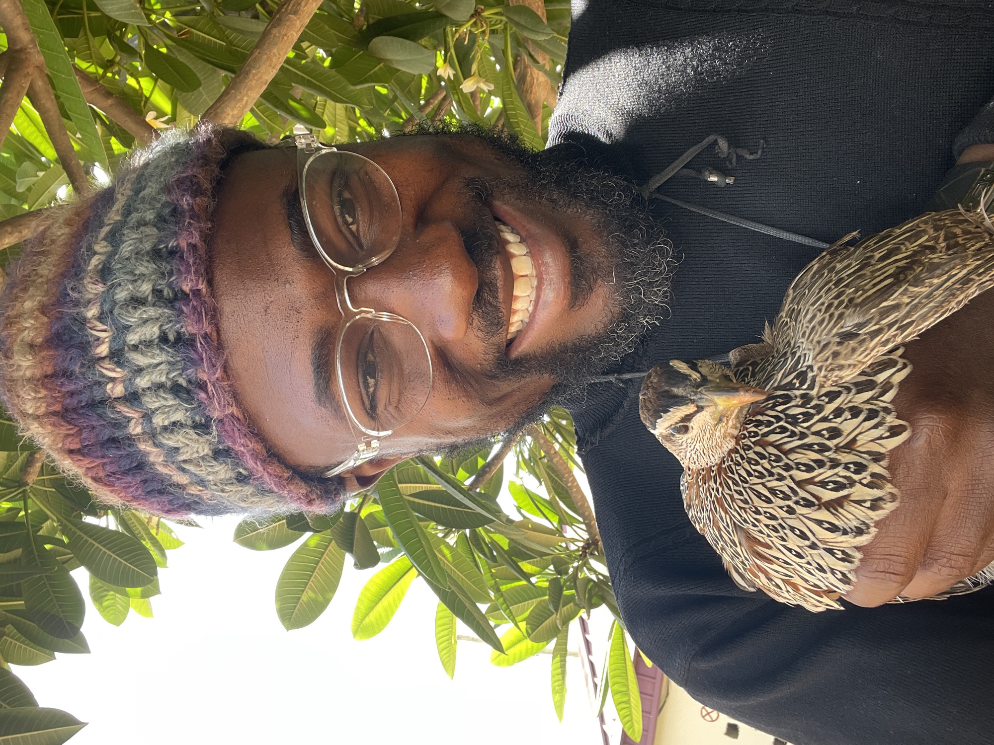 A smiling man wearing a multi-colored beanie and glasses is holding a quail. The man is wearing a black hooded sweatshirt. The background includes green leaves, possibly from a tree. The location is Jos, Nigeria.
