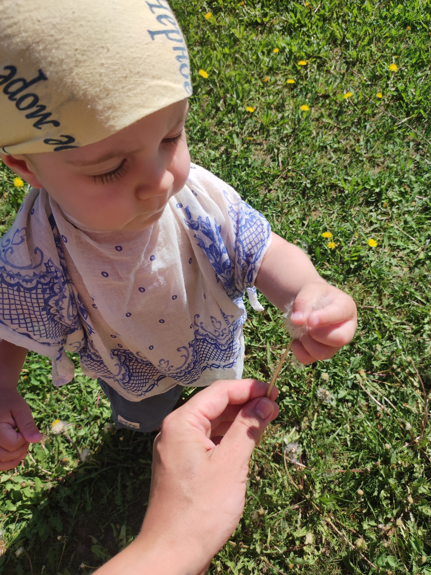 A high-angle shot depicts a baby with a light yellow bandana and a white shirt with blue patterns holding a dandelion. Another person's hand is also holding a dandelion. The background is green grass with yellow dandelions. The scene likely takes place outdoors. There is no information to suggest this image was taken in the city of Фоки, Russia.