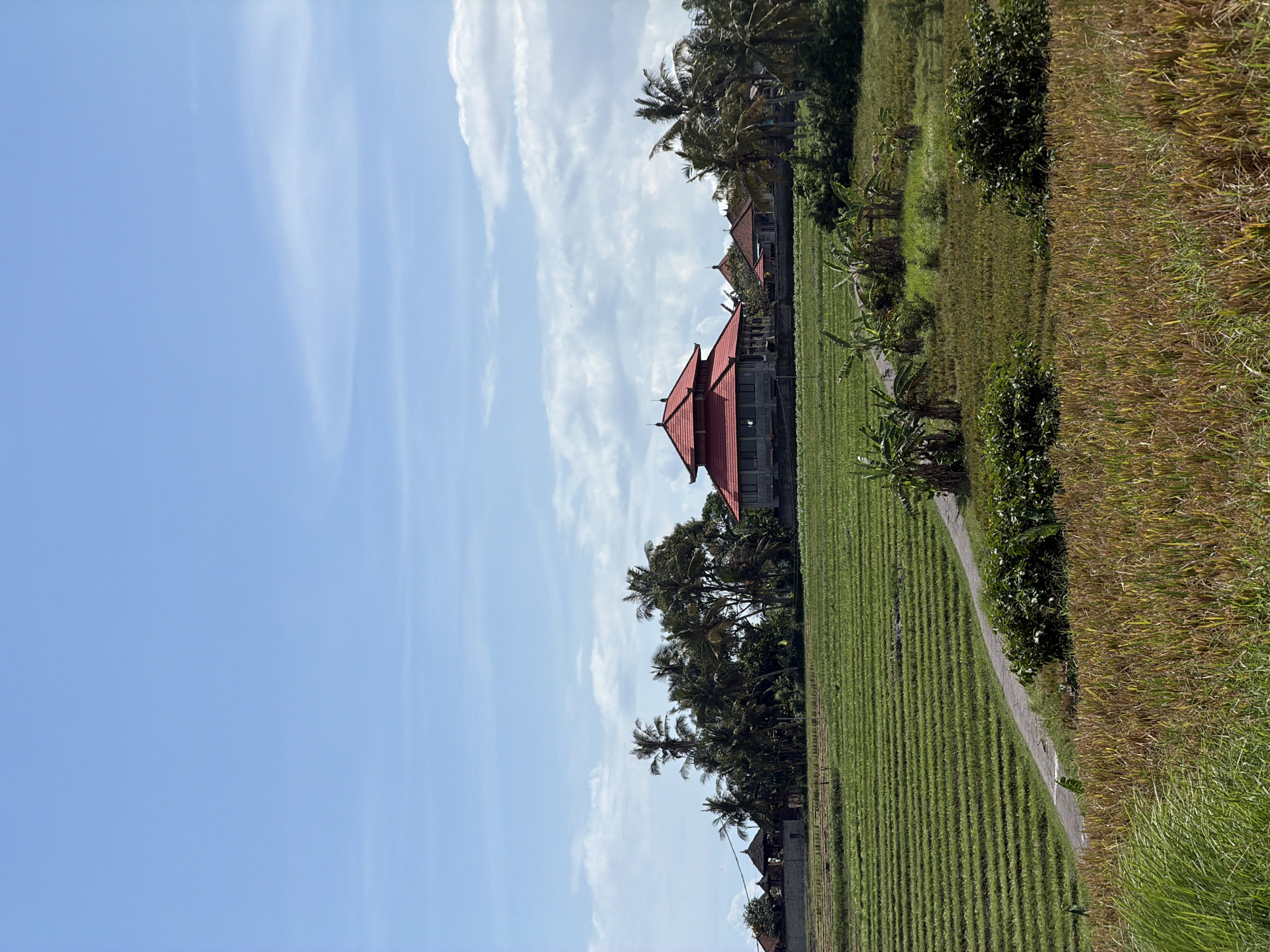 The image shows a landscape in Selemadeg Timur, Indonesia. The scene includes a blue sky with scattered clouds, a red-roofed building surrounded by palm trees, and fields of green and golden vegetation. A path is visible between the fields. The setting suggests a rural or agricultural area.
