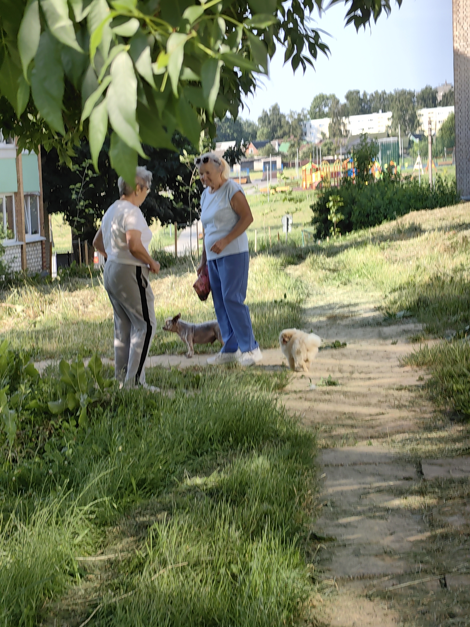 In Fanipal, Belarus, on a sunny day, two women are standing on a dirt path next to a grassy area. The woman on the left, wearing a white t-shirt and grey sweatpants, is facing away from the camera, looking at a small, light-brown dog with pointed ears standing in front of her. The woman on the right, wearing a light blue t-shirt and blue pants, is facing the woman on the left, holding a red bag. A fluffy light-colored dog is walking away from the camera on the dirt path in the background. In the distance, there are trees, buildings, and a children's playground. The foreground is dominated by green grass and leafy trees.