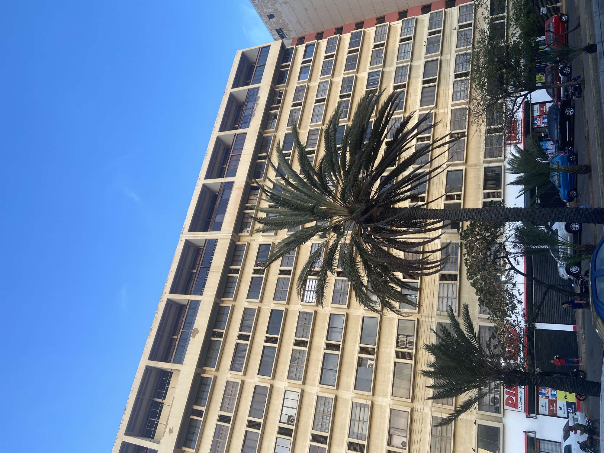 The image shows a multi-story building in what appears to be an urban setting. The building has a repetitive window pattern and some balconies, with a slightly weathered facade. Two palm trees are prominent in the foreground, partially obscuring the lower floors of the building. Cars are parked along the street in front of the building, and some pedestrian activity is visible. The sky is clear and blue. There is a building that has red trimming along the roofline above this building. The business in front of the building is “DI la tienda de M”
Given the prompt, the location is implied to be Juan Griego, Venezuela.