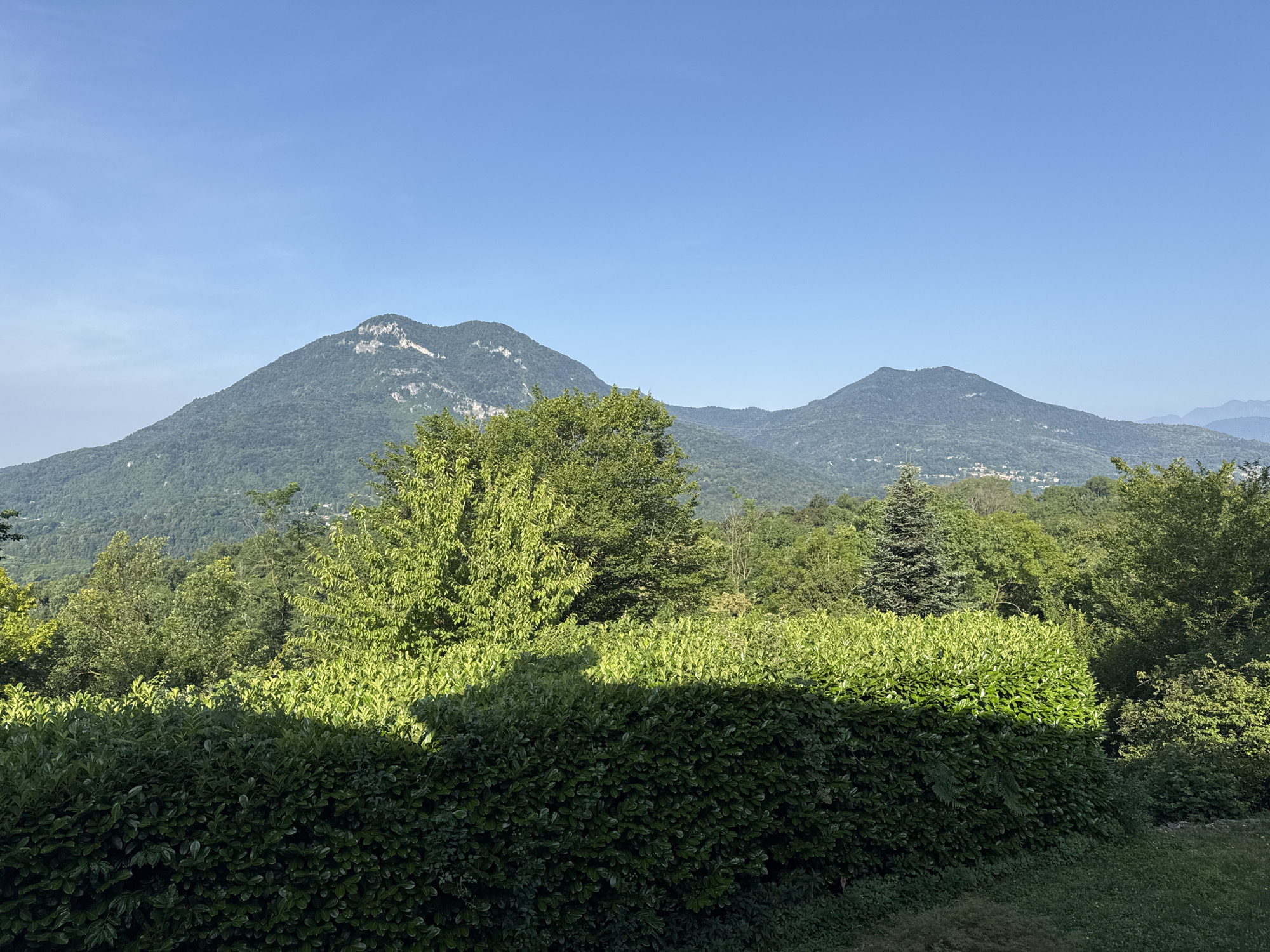 The image depicts a scenic landscape with two prominent green-covered mountains under a clear blue sky. In the foreground, a well-maintained dark green hedge runs horizontally across the frame, casting a shadow on the lighter green foliage behind it. Behind the hedge, various trees, some with vibrant green leaves illuminated by sunlight, and a dark green evergreen tree are visible. The background features the rolling hills of the mountains, with a lighter green hue indicating distance and possibly a town or village nestled on the slopes of the furthest mountain. The overall scene suggests a peaceful, natural environment located in the vicinity of Cunardo, Italy. There are no people or animals present in the image.