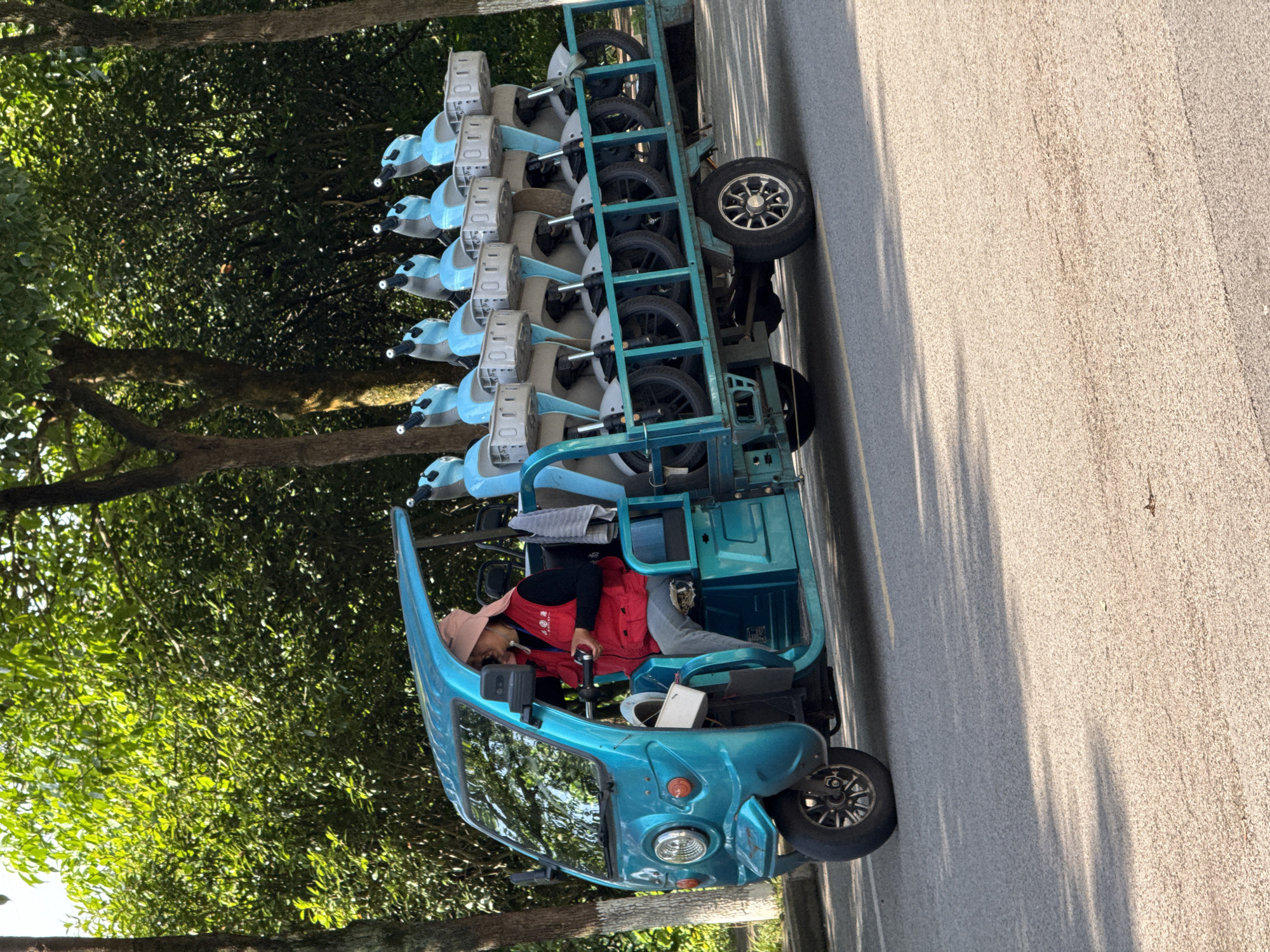 The image displays an outdoor scene, likely in Jiangjin, China, on a bright, sunny day. A light blue or teal three-wheeled electric vehicle, resembling a small rickshaw or tuk-tuk, is central to the composition. It is either parked or moving slowly on a paved road, which occupies the right half of the frame.
Seated inside the driver's cabin of the electric vehicle is a person, likely a woman, wearing a red vest, grey trousers, and a light-colored hat. The red vest features white characters, possibly indicating "Volunteer Service" (志愿服务). Her hands are near the steering mechanism, and she appears to be looking forward or slightly downwards, suggesting a moment of waiting or focused driving.
Attached to the rear of the vehicle is a trailer carrying a substantial number of light blue electric scooters. There are at least ten scooters, arranged in two rows, each featuring a white seat and handlebars. Visible identification numbers, such as "010" and "011," are printed on the white parts of the scooters.
To the left of the road, lush green trees with dense foliage form a natural backdrop, suggesting a park, natural reserve, or a tree-lined street. Long shadows are cast diagonally across the road, indicating the presence of sunlight, likely from a mid-morning or late afternoon sun. The overall scene depicts a service vehicle transporting a fleet of electric scooters, possibly for rental or shared use.