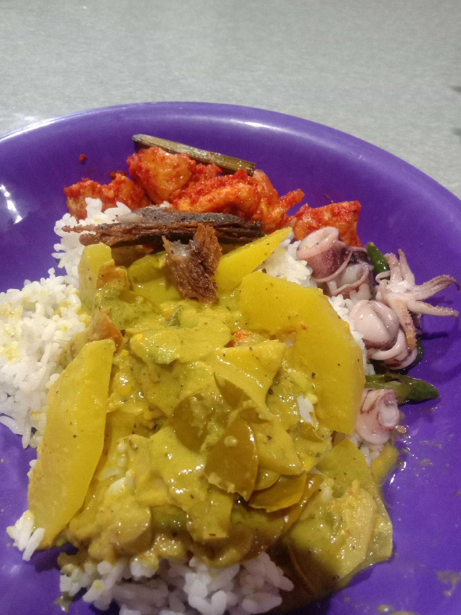 A close-up shot reveals a purple plate laden with a variety of Indonesian dishes, likely captured in Lhokjok, Indonesia. White rice forms the base, topped with a generous serving of yellow curry featuring potato and other ingredients. Adjacent to the rice are squid, and what appears to be fried tofu in red sauce. The presence of fried anchovies adds a textural element to the dish. The scene is well-lit, suggesting an indoor setting. The focus is on the food, highlighting its vibrant colors and textures.