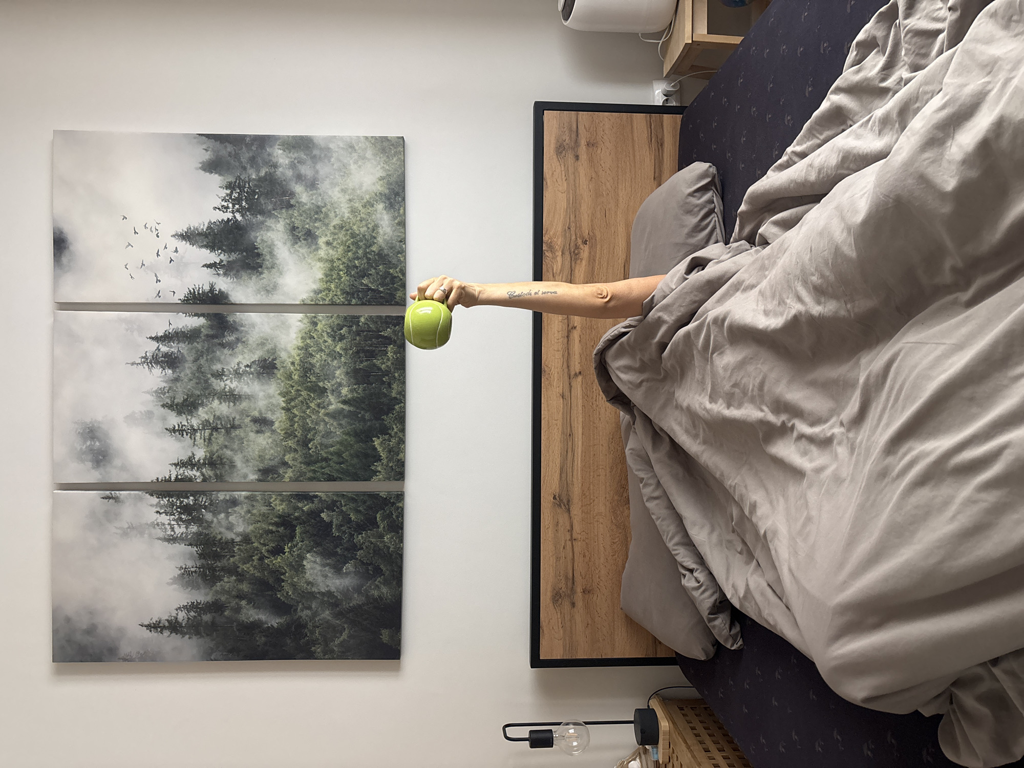 A bedroom in Chaikovsky, Russia is depicted. On the wall hangs a triptych art piece depicting a misty forest. A bed with a wooden headboard is covered in a gray duvet. An arm extending from under the duvet holds up a green object, possibly a ball or mug. A tattoo is visible on the arm. A bedside lamp is on a small table next to the bed.
