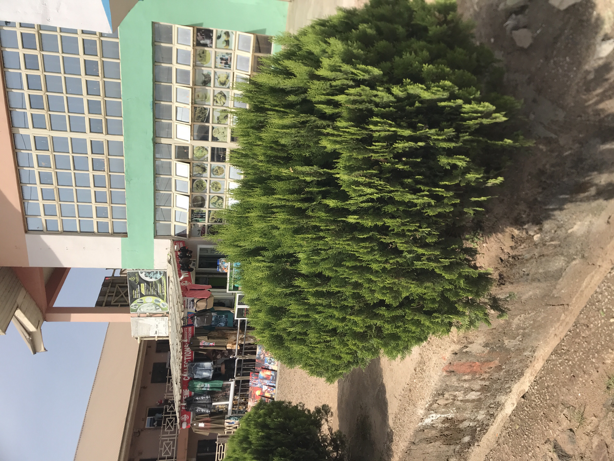 This outdoor image captures a vibrant commercial street scene in Jos, Nigeria, under bright daylight. On the right, a two-story building features a distinctive light green upper section with numerous small, square-paned windows. Many of these windows display appetizing images of prepared food dishes, suggesting the presence of a restaurant or eatery. To the left, a multi-story building in beige or light brown is partially visible, characterized by columns and an overhead structure.
In the foreground and towards the right, a large, dense evergreen bush or small tree dominates the space, casting a significant shadow onto the dusty, unpaved ground below. A concrete curb or pathway borders the ground, which appears to be a mix of dirt and gravel. Another smaller bush can be seen further back on the left.
Below the green section of the main building, and extending into the mid-ground, are open-front shops or market stalls. These stalls are actively displaying a range of goods, primarily clothing such as jeans, shirts, and jackets, hung on racks and adorned on mannequins. Several business signs are present: a large, partially obscured black sign with white text prominently features "MUSAW FASHIONS" and includes phone numbers (e.g., "08035610..."). Another sign above the clothing displays clearly states "COLLECTIONS" and provides contact details like "CALL OR WHATSAPP" with associated phone numbers (e.g., "0808...").
The clear, pale blue sky indicates sunny weather. The strong shadows cast by the buildings and vegetation suggest it is daytime, likely mid-morning or afternoon. Although no individuals are clearly visible, the setup of the stalls and businesses implies ongoing commercial activity. The overall ambiance of established buildings combined with market-style vendors on unpaved terrain is characteristic of daily life and commerce in Jos, Nigeria.