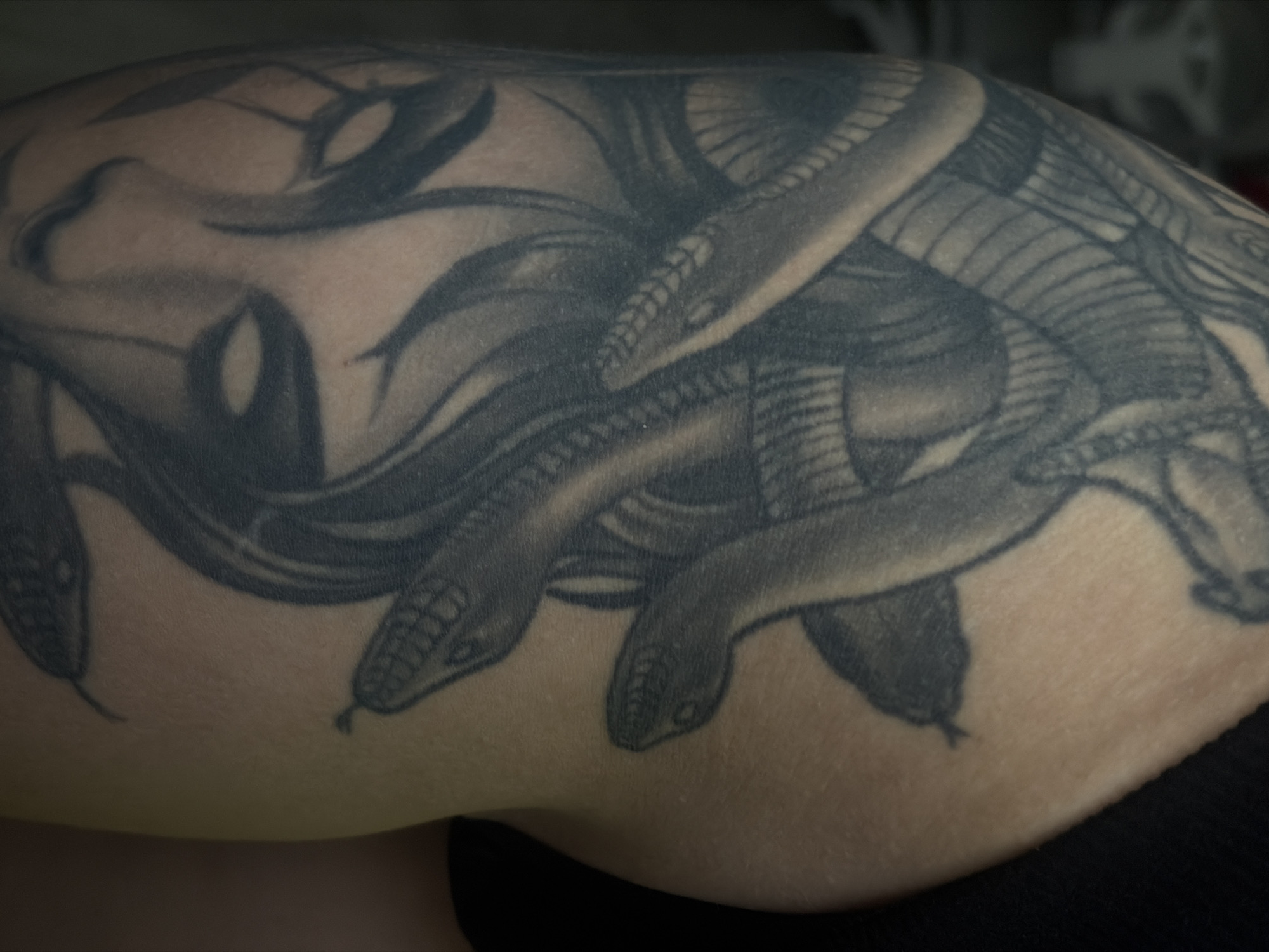 The image shows a tattoo on a person's arm or leg. The tattoo is of Medusa, a mythical Greek Gorgon with snakes for hair. Medusa is depicted with multiple snake heads intertwined, and her face is visible with vacant eyes. The tattoo is rendered in black and grey ink, with shading and detail to create depth and texture. The surrounding skin is fair, with some texture visible. A dark fabric, possibly clothing, is visible in the background on the right side of the image. There is no discernible information within the image to suggest a location in Saint Petersburg, Russia.