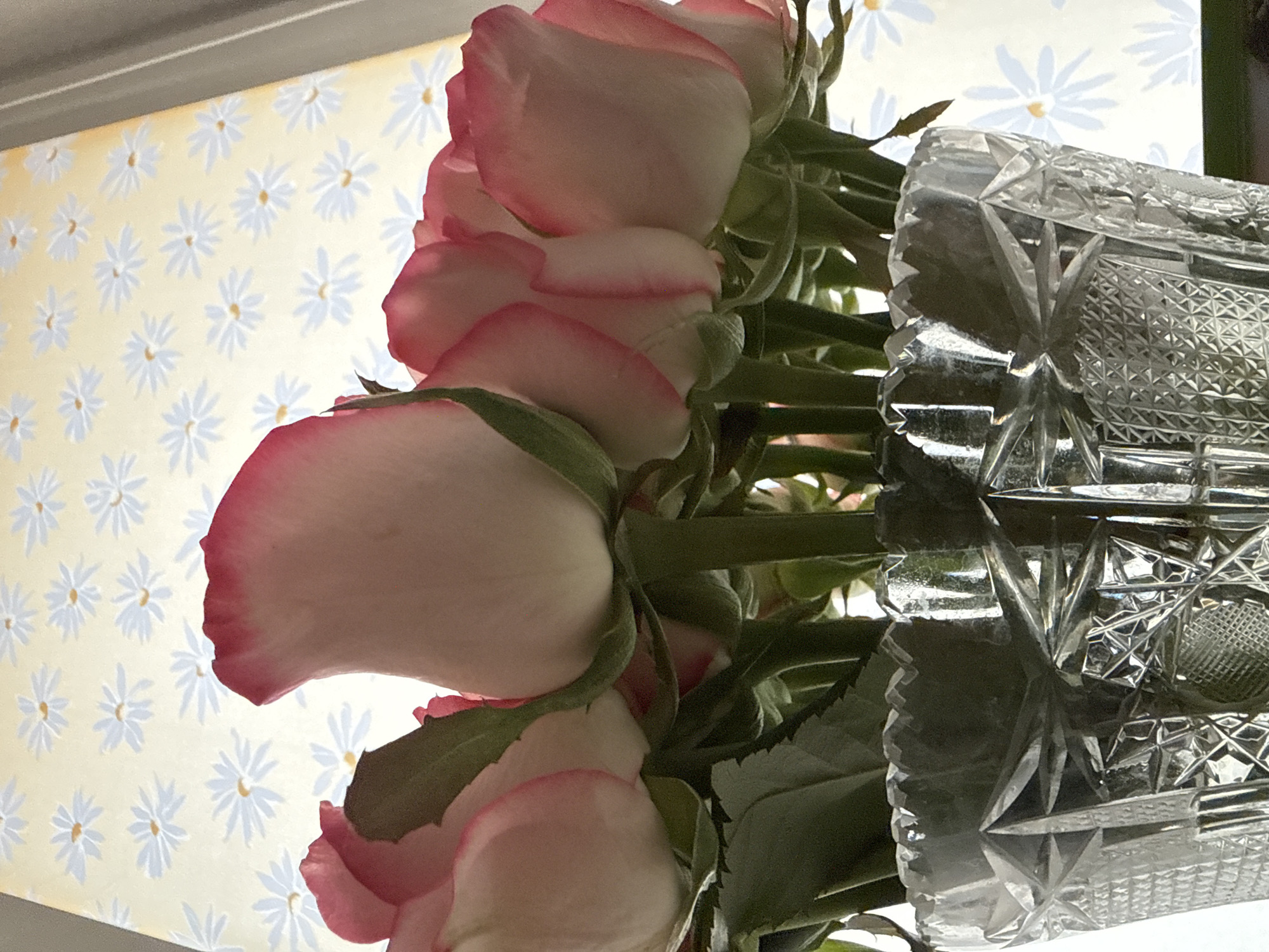 The image displays a close-up, low-angle view of a bouquet of roses presented in a cut crystal vase against a patterned background.
The primary subjects are multiple rose buds, predominantly closed or partially open, occupying the middle and upper-middle sections of the frame. Their petals are pale pink to white, featuring distinct darker pink to reddish-pink edges. Green stems and some leaves are visible beneath the flower heads. The flowers appear to be backlit, highlighting their forms and petal translucency.
In the lower portion of the image, a clear, multi-faceted crystal vase holds the rose stems. The vase exhibits intricate geometric patterns including starbursts, cross-hatching, and vertical cuts. Its rim is jagged or scalloped. The interior of the vase is dark due to the dense stems and water within, reflecting external light.
The background, visible above the flowers, is a light-colored surface, possibly cream or yellow, adorned with a repeating pattern of small, light-colored daisy-like flowers with yellow centers. This background is uniformly illuminated, suggesting it may be a lampshade, patterned window covering, or wallpaper with a light source behind it.
No individuals are present in the scene. The image provides no discernible visual information to determine a specific location within the city of Vinnytsia, Ukraine, or any other geographical area.