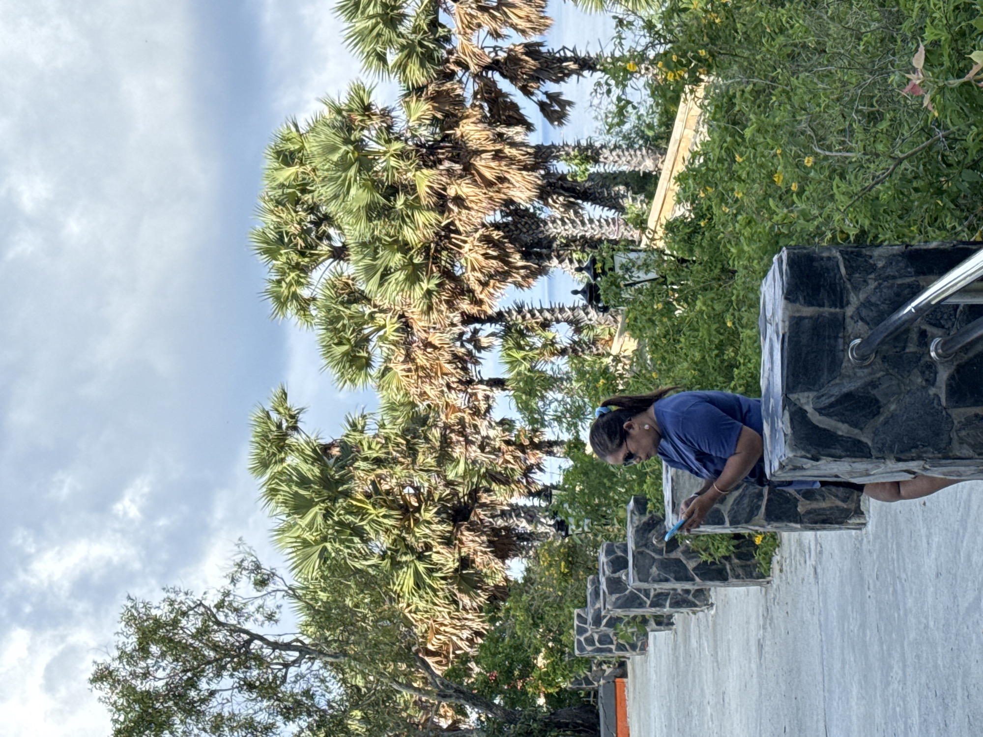 A woman with dark hair pulled into a ponytail, wearing a dark blue t-shirt and sunglasses, stands on a paved walkway next to a stone railing. She is looking down at a light blue smartphone she holds in her hands. The walkway appears to be part of a park or resort area in Rawai, Thailand, with lush green vegetation and palm trees in the background. The sky above is cloudy.