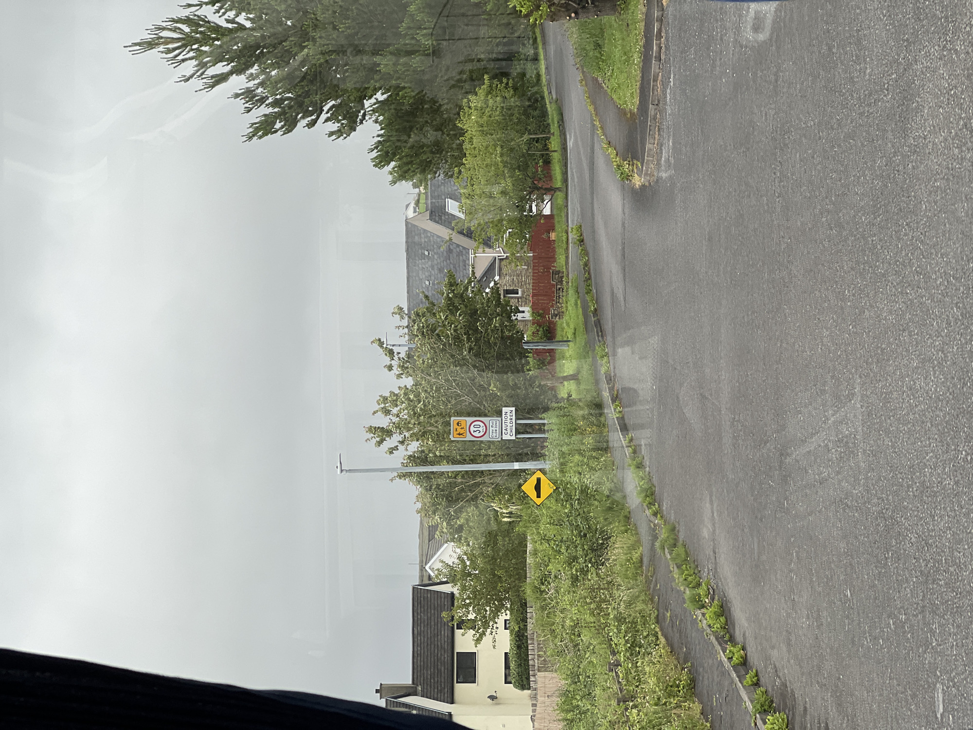 The image depicts a residential street in Meenaniller, Ireland. The road is asphalt, with a curb and a narrow strip of grass separating it from a paved walkway. Lush green vegetation lines the left side of the road, with a wooden fence visible in the background. Several houses with pitched roofs are scattered throughout the scene, interspersed with trees and shrubs. A street light stands tall on the right side of the road. Traffic signs are present, including a speed limit sign indicating 30 km/h, a warning sign for a speed bump, and a sign cautioning about children. The sky is overcast, suggesting a cloudy or rainy day. The image appears to be taken from inside a vehicle, as evidenced by the reflection on the glass and the dark curtain on the left side.