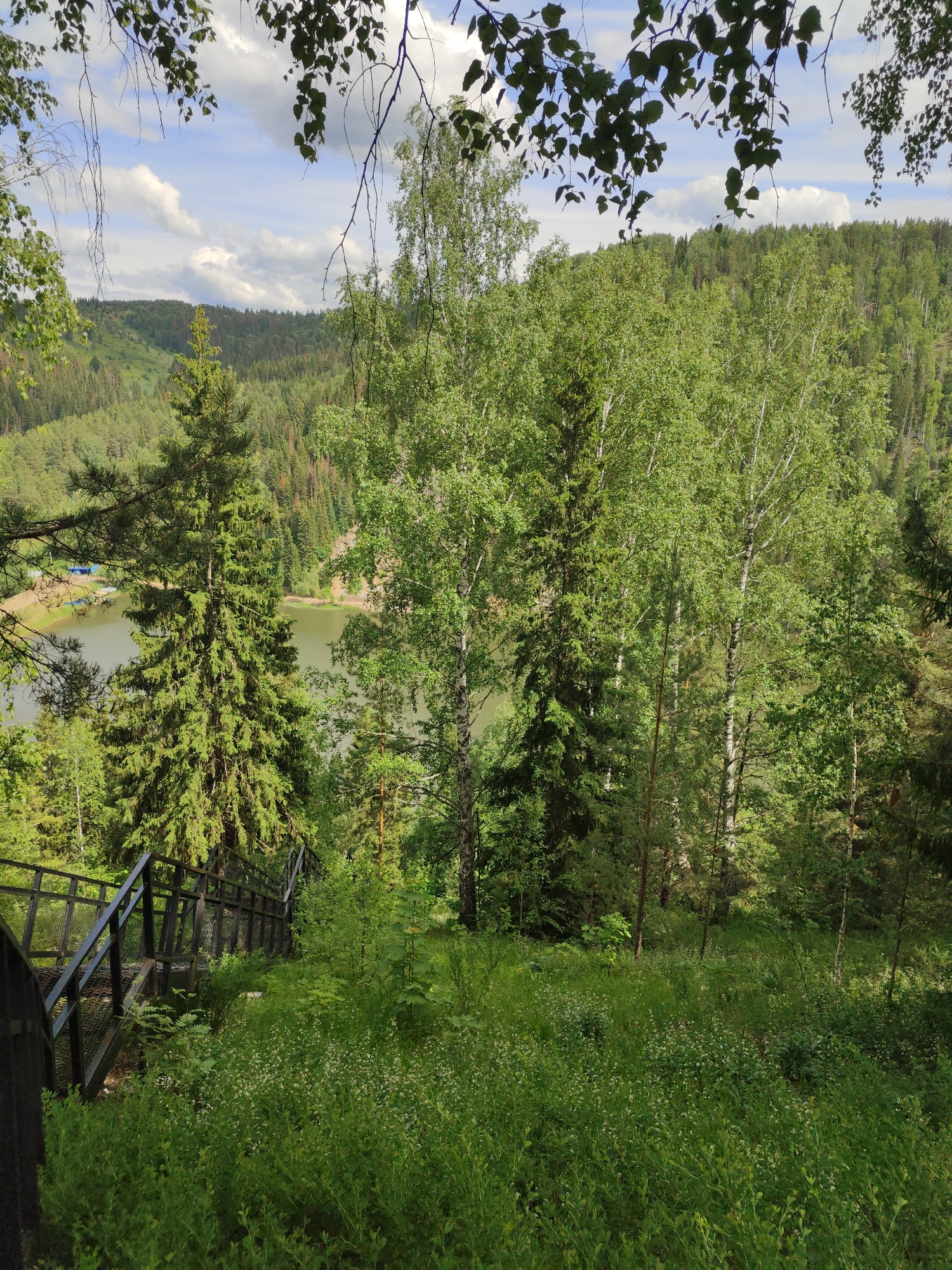 The image depicts a forested area overlooking a lake. A set of metal stairs descends into the greenery. The vegetation consists of various trees, including conifers and birch, along with abundant ground cover of grass and small flowering plants. In the background, a hillside covered in trees extends towards a sky dotted with clouds. In the distance on the other side of the lake are a few structures with blue roofs. This scene is in the city of Sim, Russia.