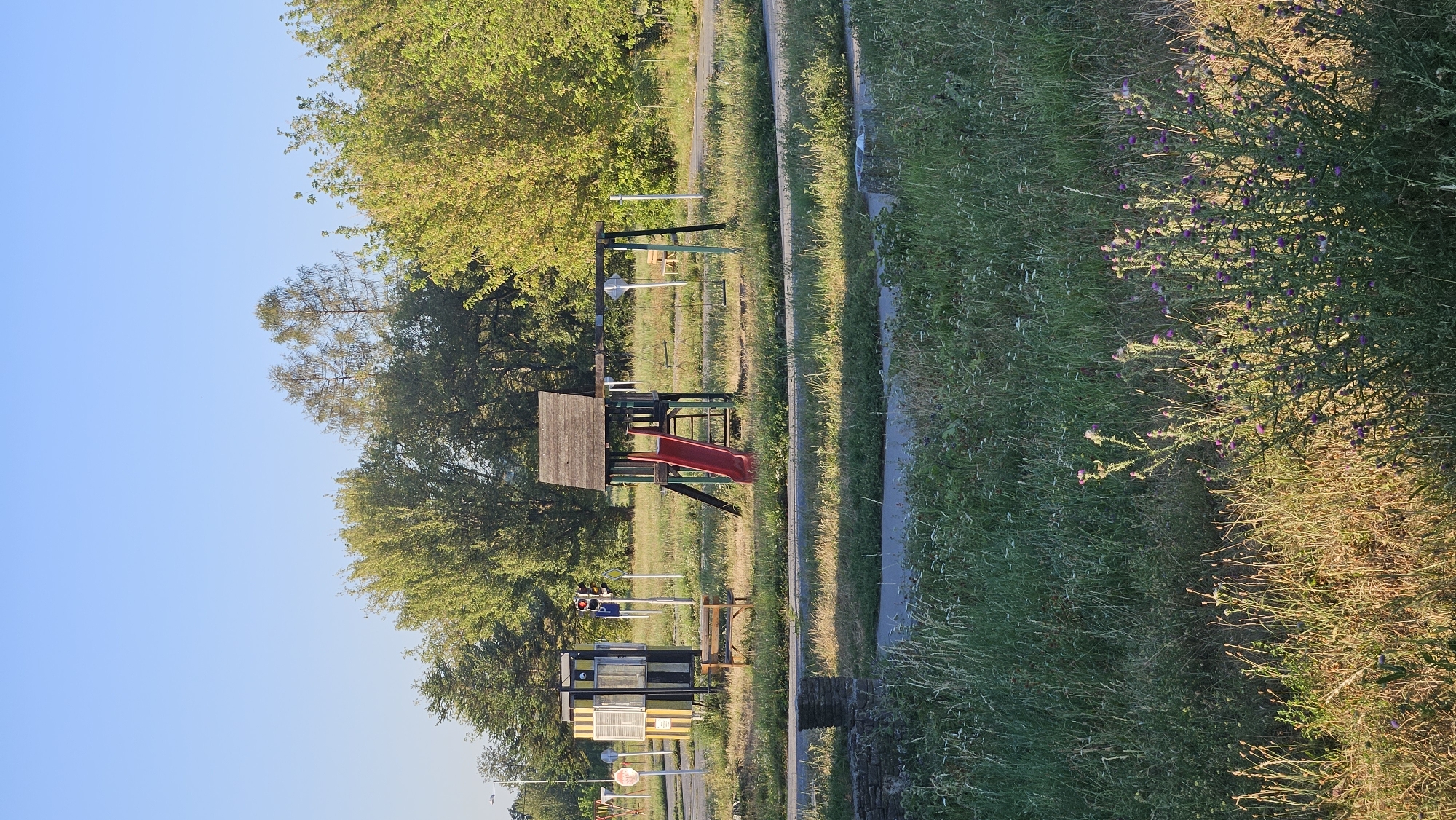 The image shows a children's traffic playground, likely located in Prešov, Slovakia. The playground features a small wooden play structure with a red slide, a swing set, and educational traffic signs and signals. In the background, there are trees and a clear blue sky. The foreground is dominated by tall, dry grass and some purple thistles. There are no people visible in the image. The scene suggests a quiet, possibly neglected, outdoor recreational area.
