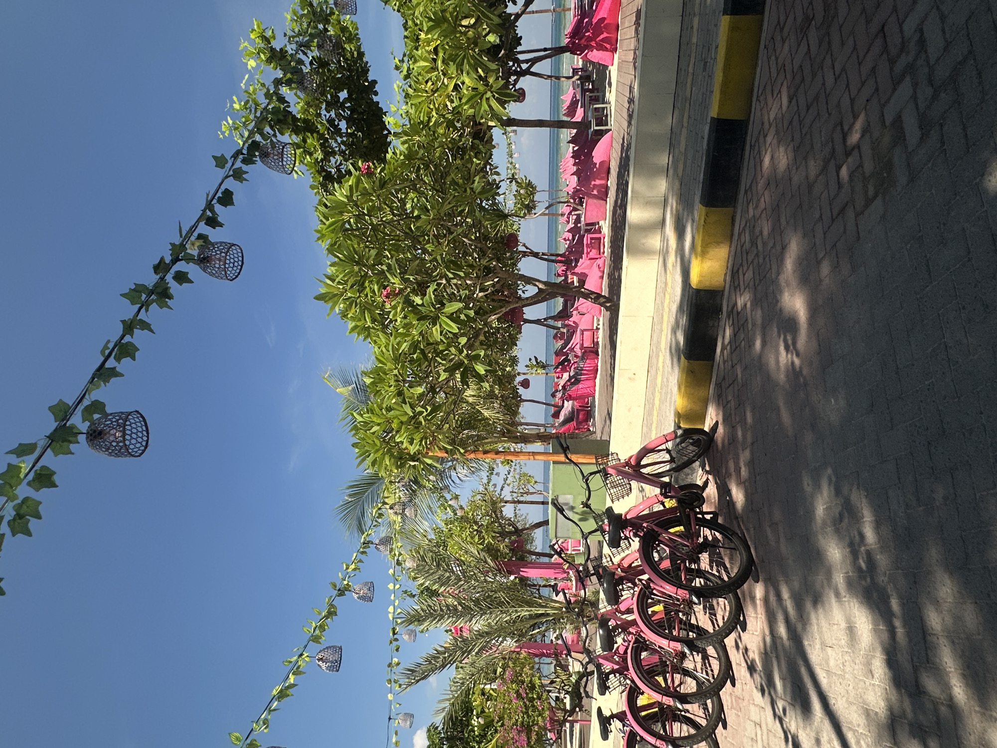 The image shows a street scene in Unknown, Indonesia. The view is oriented lengthwise along a brick-paved sidewalk bordered by a black and yellow painted curb. A row of pink bicycles is parked along the sidewalk. Beyond the bicycles, trees and pink beach chairs are visible. In the background, the ocean can be seen under a clear blue sky. Decorative vines with woven basket lanterns are strung overhead. No people are prominently visible in the image. The light suggests a sunny day, with shadows cast on the pavement.