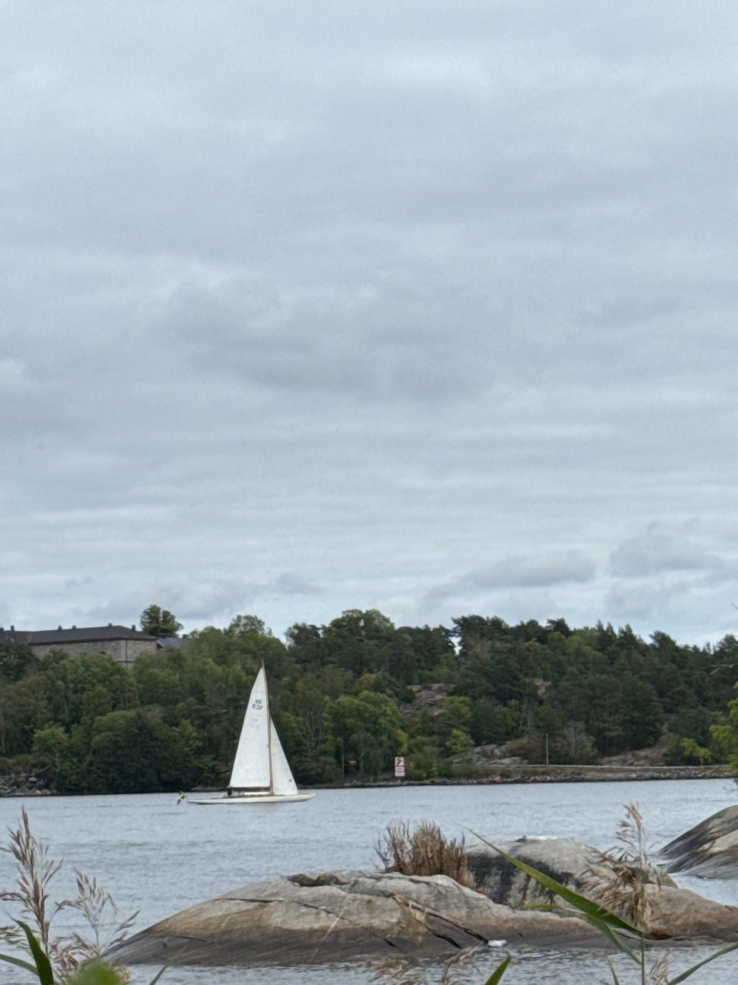 A wide shot captures a calm body of water with a lone sailboat in the middle distance. The sailboat has a white triangular sail with markings on it. In the background, a densely forested shoreline is visible, with a long, stone building with a dark roof situated on a hill. The sky is overcast with a layer of gray clouds. In the foreground, a cluster of rocks and dried reeds are partially submerged in the water, with more rocks visible on the right side of the frame. The scene appears to be a serene view of a coastal area, likely Vaxholm, Sweden, given the presence of historical architecture and the maritime environment. There are no people clearly visible in the image.