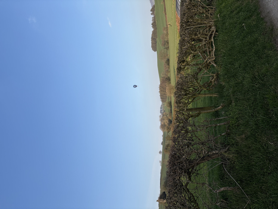A rural landscape in Shelve, United Kingdom, is depicted under a clear, bright blue sky with minimal cloud cover. In the foreground, a dense, bare hedgerow, supported by several visible wooden posts, runs horizontally across the lower third of the frame, separating grassy fields. Beyond the hedge, rolling green hills extend into the midground and background, covered in grass and dotted with a mix of bare deciduous trees and clusters of darker coniferous trees. A stone structure, possibly a ruined building, is partially visible on a distant hill to the far left. Centrally positioned in the upper portion of the sky, a dark-colored hot air balloon, appearing mostly black or dark blue with a circular light-colored emblem or marking, is aloft. No individuals are present.