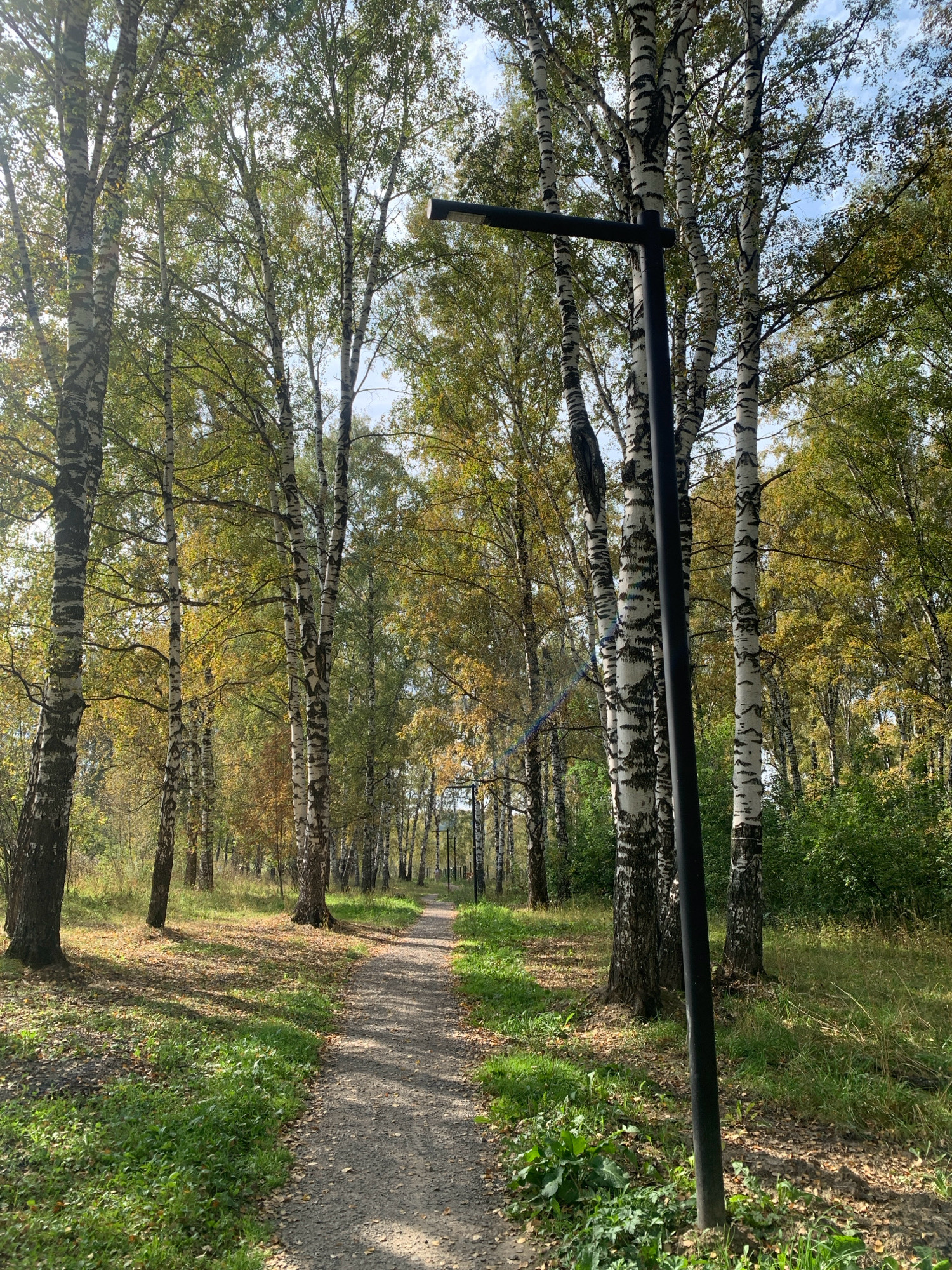 The image depicts a pathway in a park, lined with birch trees that are beginning to show autumn colors. The pathway is made of gravel and is winding through the trees. Sunlight filters through the leaves, casting shadows on the ground. A black lamppost stands on the right side of the path. The ground is covered with grass and fallen leaves. The overall scene suggests a serene, natural setting within an urban environment. The location is identified as a park in Prokopyevsk, Russia. There are no people or animals visible in the image.