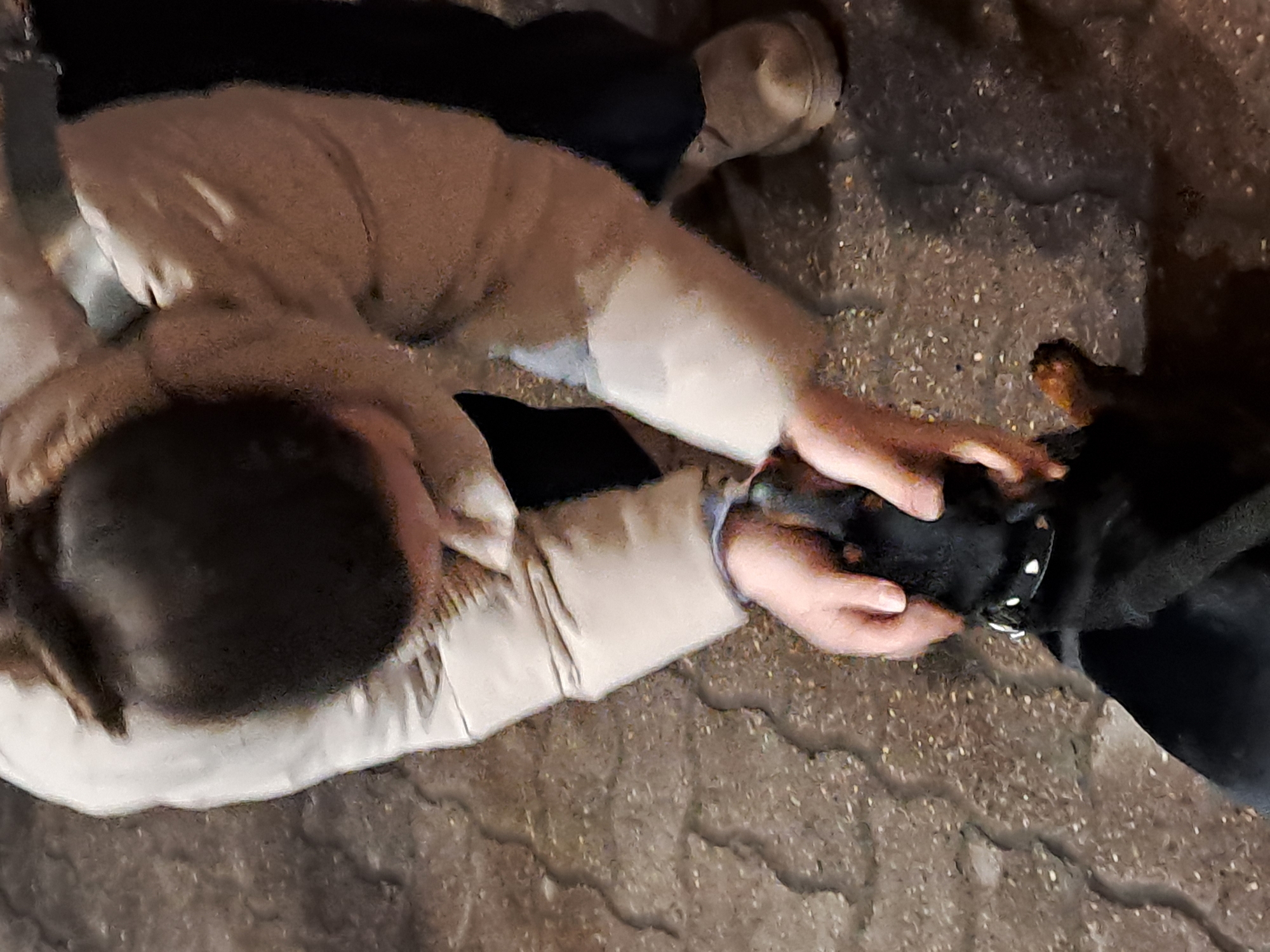 A person wearing a light-colored coat and dark pants is kneeling on a paved surface, possibly a street or sidewalk. The person is petting a black dog with tan markings on its face, wearing a studded collar. The interaction is taking place in an outdoor environment, with the pavement suggesting an urban setting. The photograph appears to be taken from an overhead perspective, possibly from a slightly elevated position. The location is Elektrostal, Russia.
