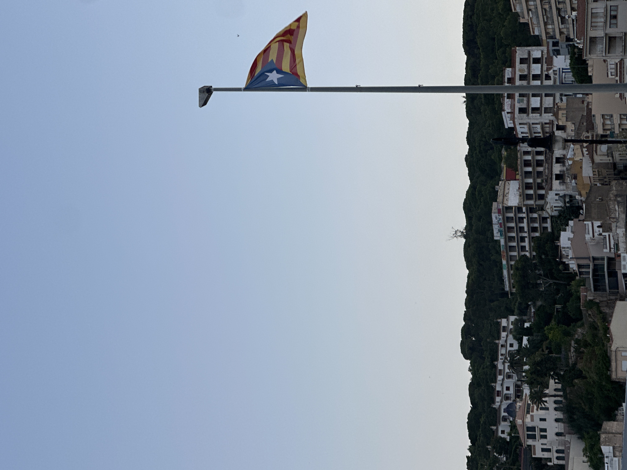 The image captures a view of the city of Sant Feliu De Guíxols, Spain, with a Catalan flag prominently displayed on a flagpole. The flag is partially unfurled and shows its characteristic yellow and red stripes with a blue triangle and a white star. The flagpole is tall and gray, positioned on the right side of the frame.
In the background, a hillside is covered with dense green trees. Nestled within the trees and on the slopes are various buildings. Some appear to be older, white structures with red-tiled roofs, while others are more modern, multi-story buildings, some of which show signs of disrepair or unfinished construction, with visible graffiti on their facades. The architecture suggests a coastal town with residential and possibly commercial or hotel establishments.
The sky is a pale, clear blue, transitioning to a lighter shade near the horizon, indicating it might be late afternoon or early evening. The overall atmosphere is calm and serene, with no people or vehicles clearly visible in the frame. The environment is a mix of natural landscape and urban development.