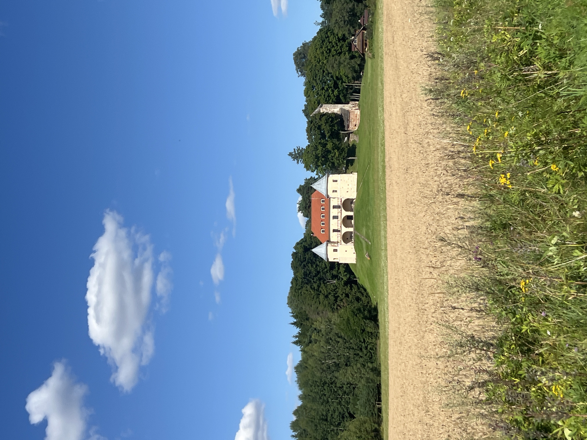 The image depicts the Norviliškės Castle in Norviliškės, Lithuania, under a bright blue sky with scattered white clouds. In the foreground, a field of golden wheat stretches across the frame, with tall green grass and some wildflowers in the immediate foreground. Behind the wheat field, the castle complex is situated on a gently sloping green hill. The main building is a light-colored, multi-story structure with a red tiled roof and arched openings. To the right of the main building, a partially ruined brick structure stands, and further to the right, a small wooden building with a dark roof is visible. A dense line of dark green trees forms the backdrop behind the castle. The scene is a rural landscape bathed in natural daylight.