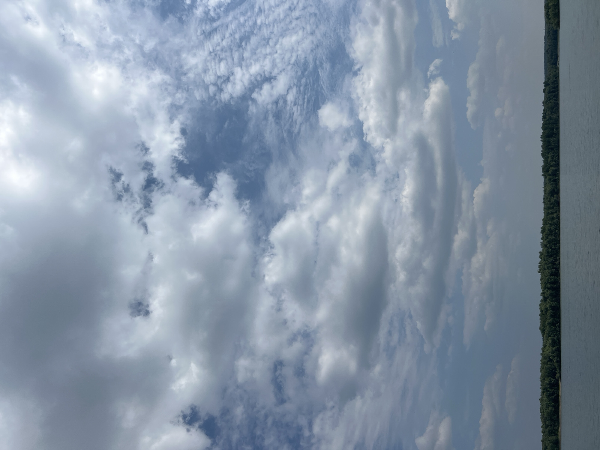 This is a landscape photograph taken from a body of water, looking towards a tree-lined shore. The sky occupies the majority of the frame, filled with a mix of large, fluffy cumulus clouds and smaller, wispy cirrus clouds. The clouds are varied in their density and color, with some appearing bright white where illuminated by sunlight, and others showing darker, gray undersides. Patches of blue sky are visible between the clouds, particularly in the upper right portion of the image. The horizon line is low in the frame, separating the sky from the scene below. A dense line of green trees forms a natural barrier along the edge of the water, suggesting a forested shoreline. The water itself is calm and appears dark, reflecting the colors of the sky. The location is identified as Mochishche, Russia. There are no people, animals, or man-made structures prominently featured in the image. The overall impression is one of a natural, somewhat overcast day.