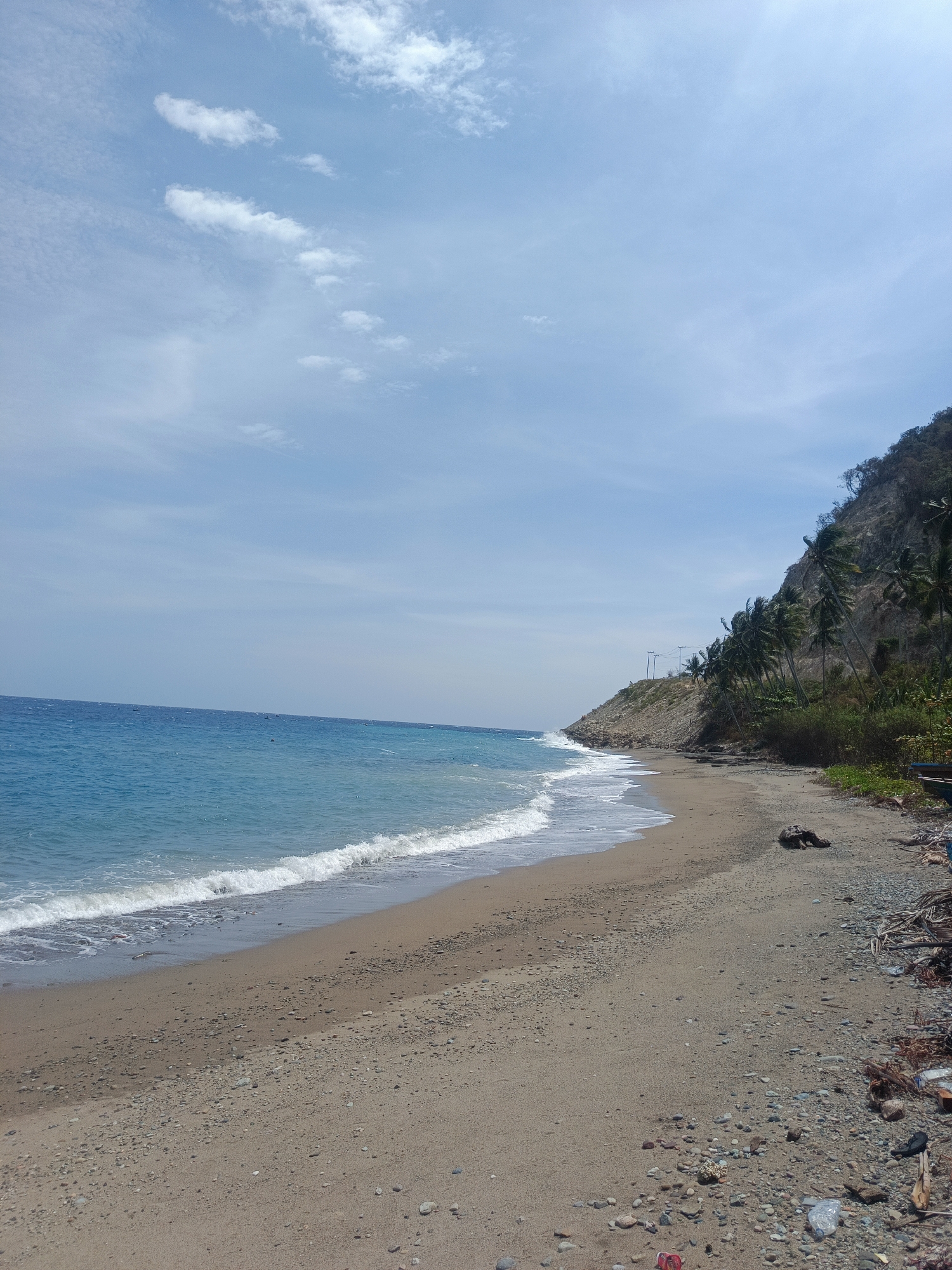 The image shows a sandy beach with clear blue water and gentle waves lapping at the shore. The beach is lined with palm trees and a rocky cliff face. The sky is blue with some scattered white clouds. In the foreground, there is some debris on the beach, including plastic bottles and wood. The scene appears to be a remote, natural landscape. There are no people or animals visible in the image. The location is identified as Tamboo, Indonesia.
