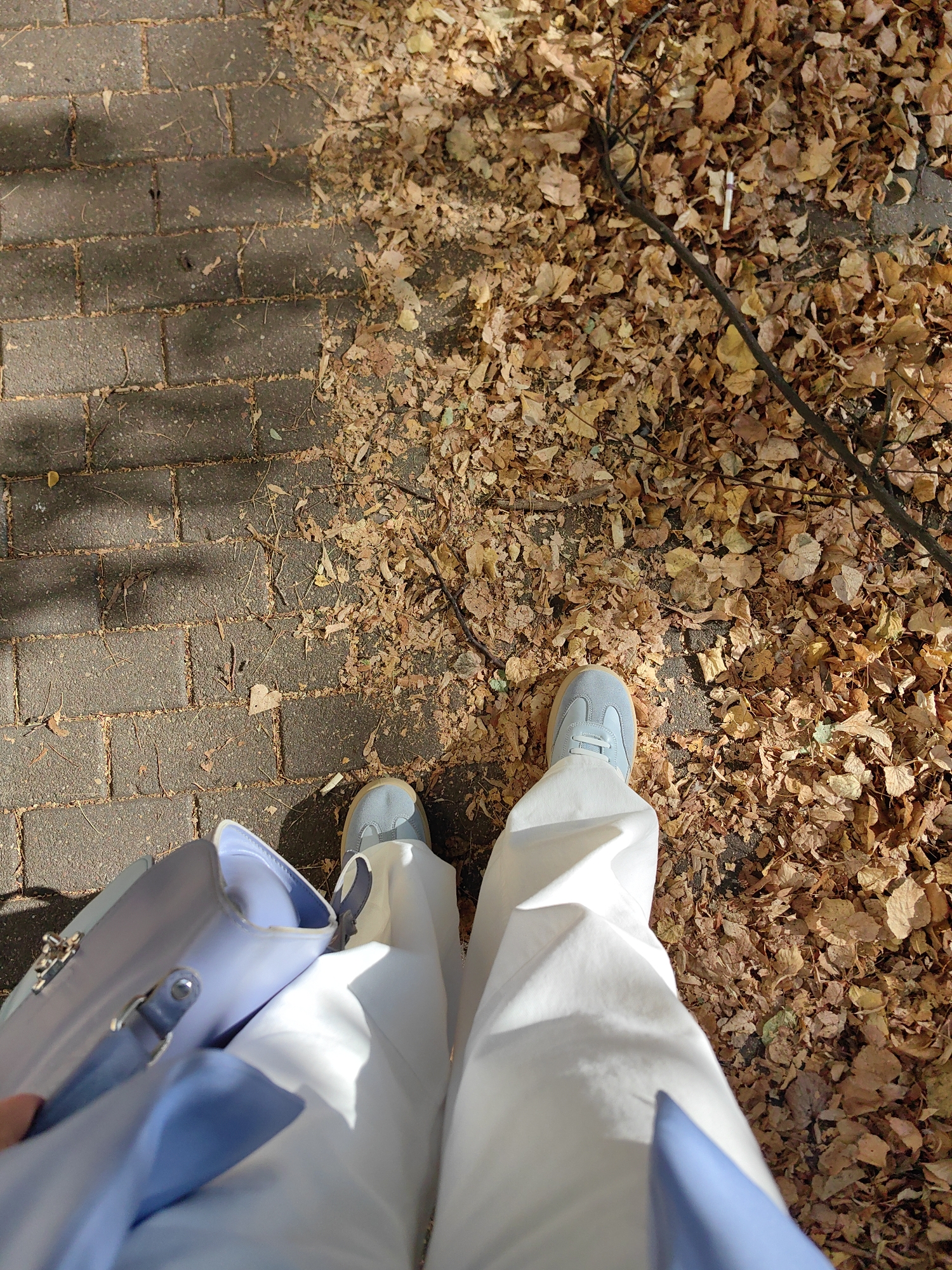This is a high-angle, full-shot image of a person standing on a sidewalk covered in fallen autumn leaves. The sidewalk is made of dark, rectangular bricks arranged in a pattern. To the right of the sidewalk, a thick layer of dry, brown and yellow leaves covers the ground, with some small twigs and branches interspersed. A single cigarette butt is visible among the leaves.
The person is wearing wide-leg white pants and light blue sneakers. They are holding a light purple purse with a blue strap in their left hand. The purse has a silver clasp. The lighting suggests it is daytime, with shadows cast across the brick sidewalk. The overall scene depicts an outdoor urban environment during the autumn season. The location is specified as the city of Minsk, Belarus.
